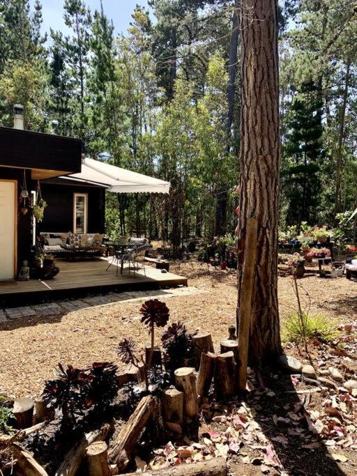 Cabaña en el Bosque