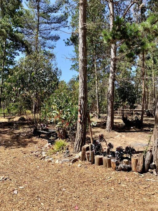 Cabaña en el Bosque