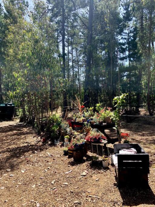 Cabaña en el Bosque