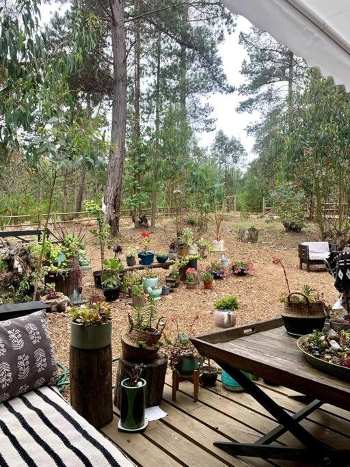 Cabaña en el Bosque