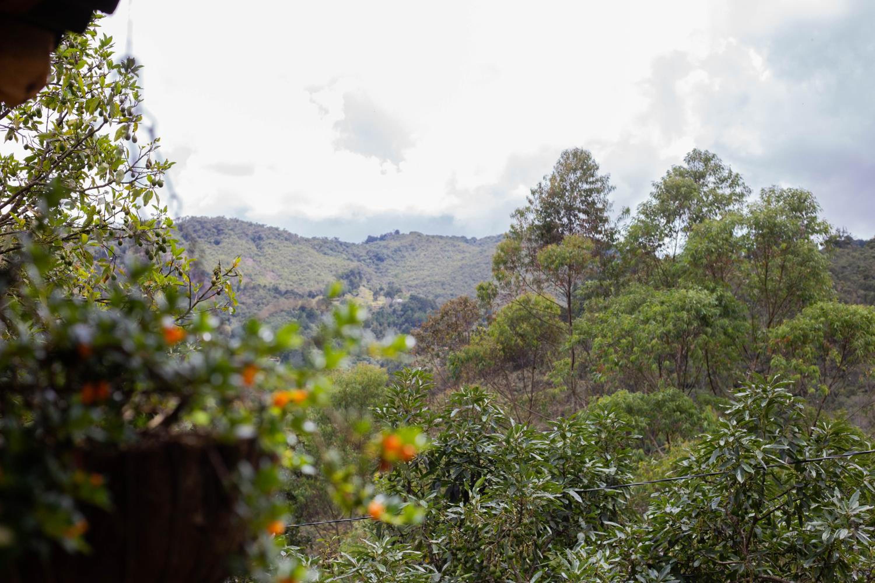 Luna Verde Eco Hábitat