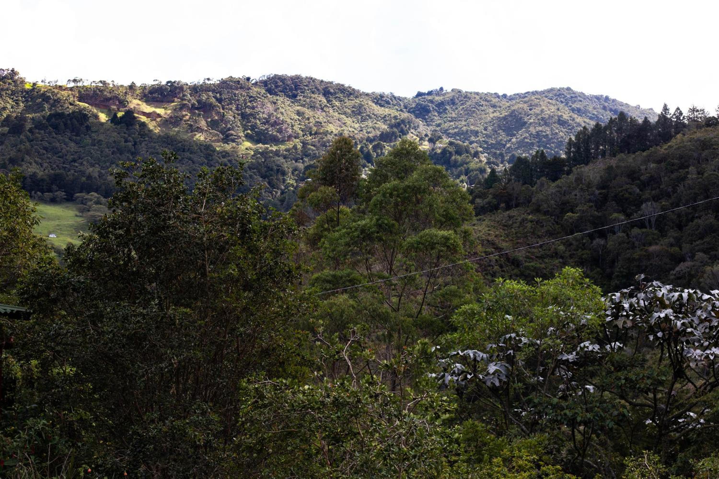 Luna Verde Eco Hábitat