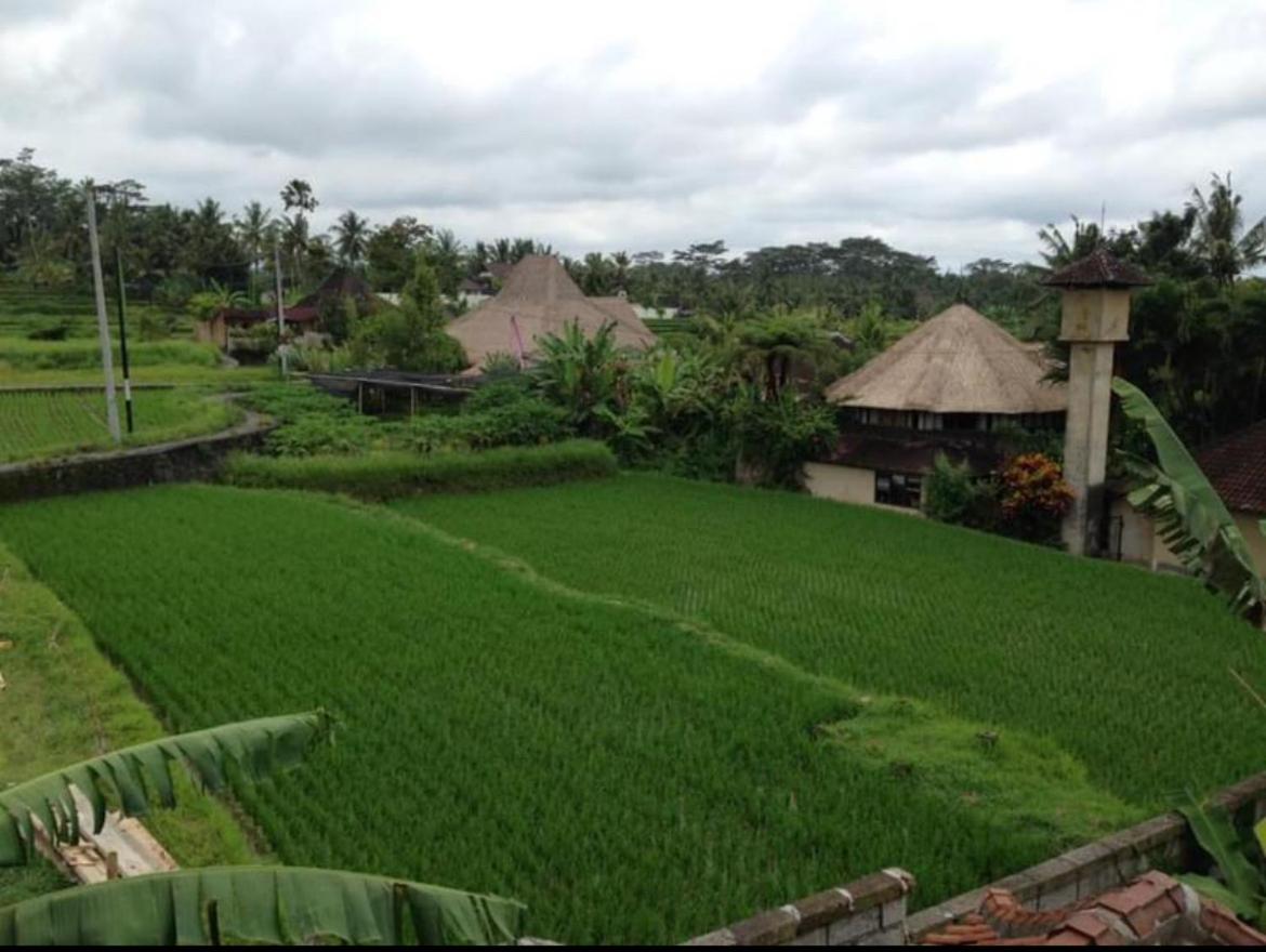 Kolibri villa ubud The beautiful private villa with private pool view 3