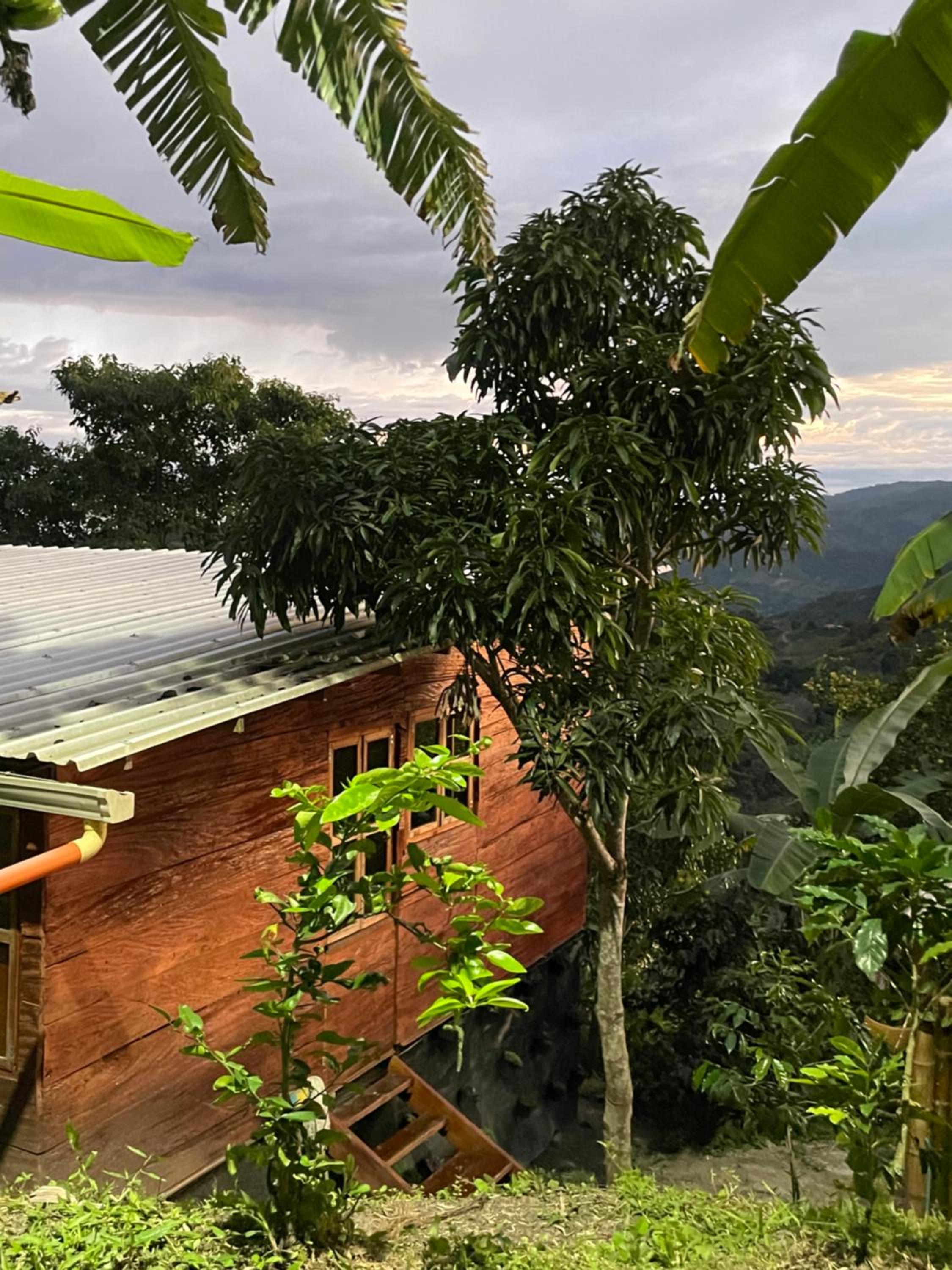 Las Cayenas