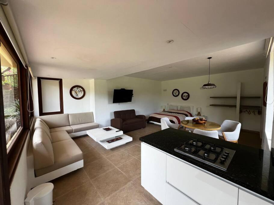 Hotel Aire Libre - Suite 6