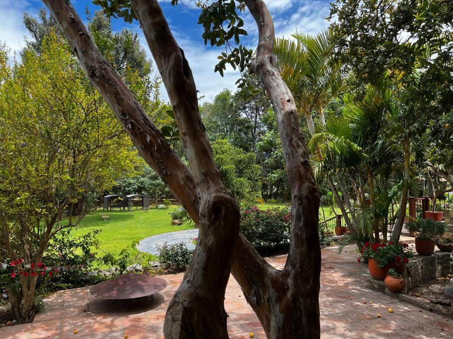 Hotel Aire Libre - Suite 6