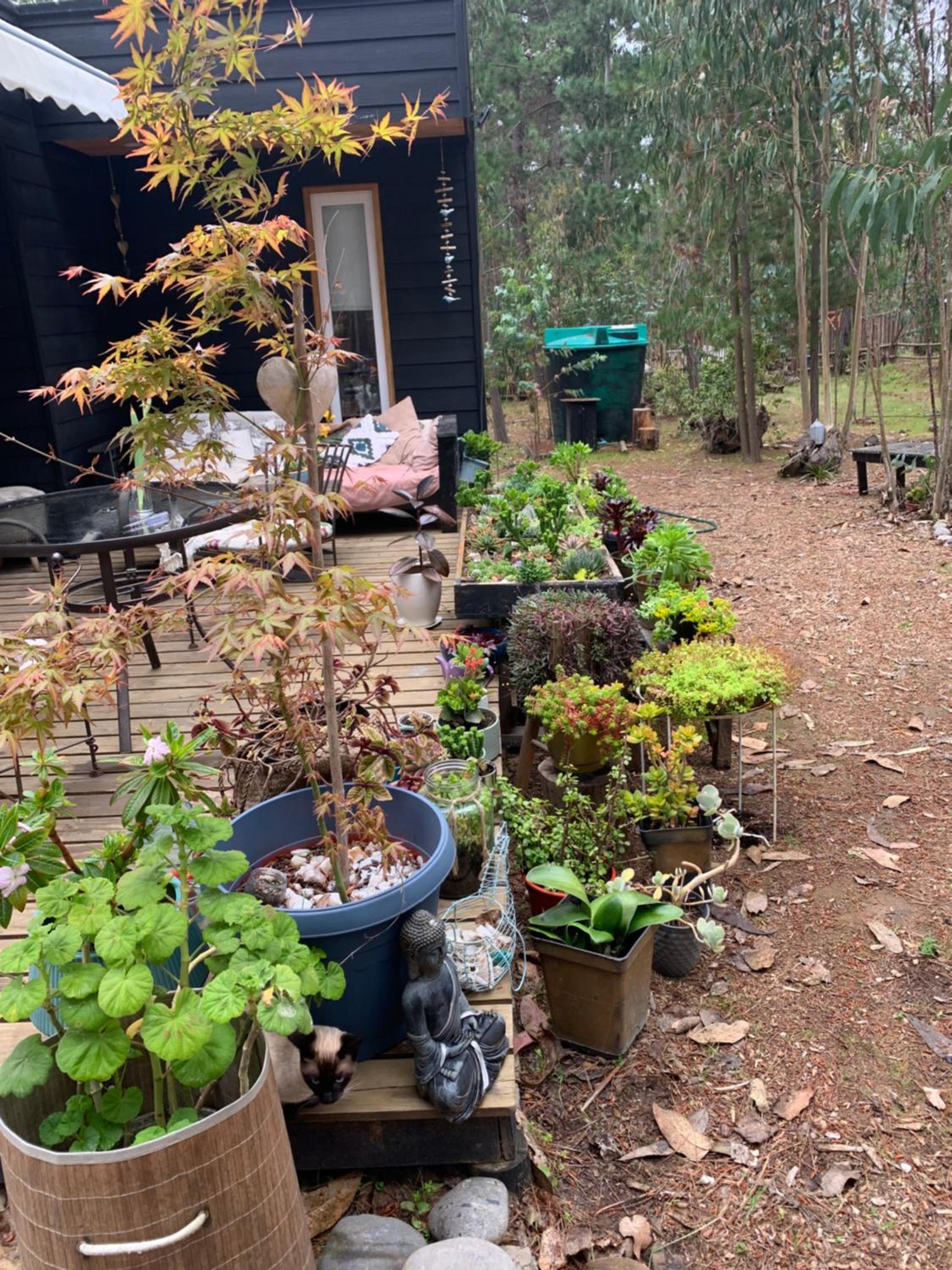 Cabaña en el Bosque