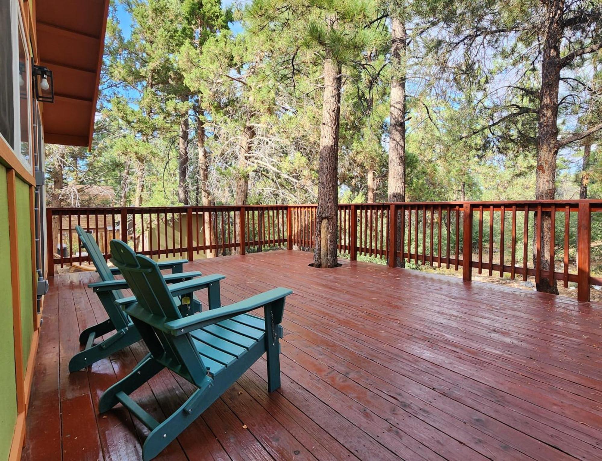 Bear Nest - Cozy 2 bedroom House adjacent to National Forest with Deck BBQ Fireplace view 3