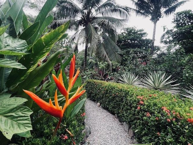 Toucan Villa -riverfront With Pool & Near A Beach