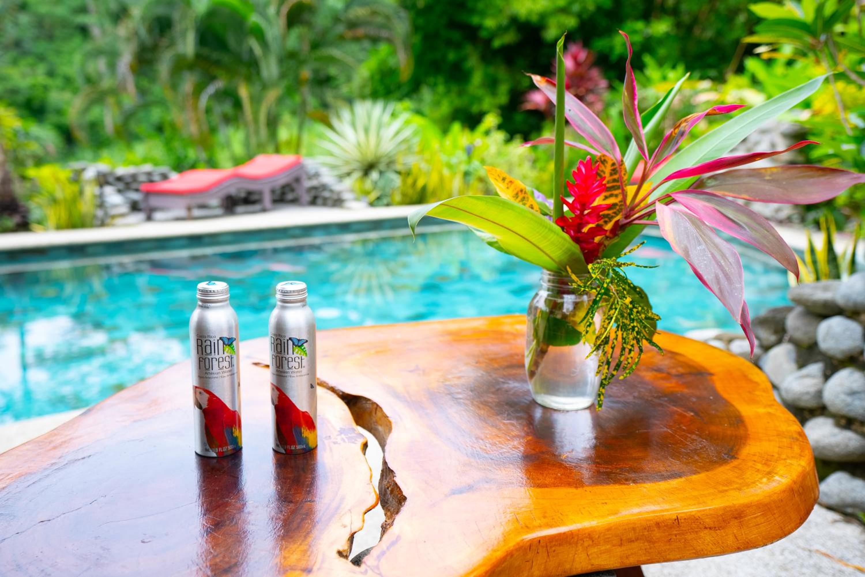Toucan Villa -riverfront With Pool & Near A Beach