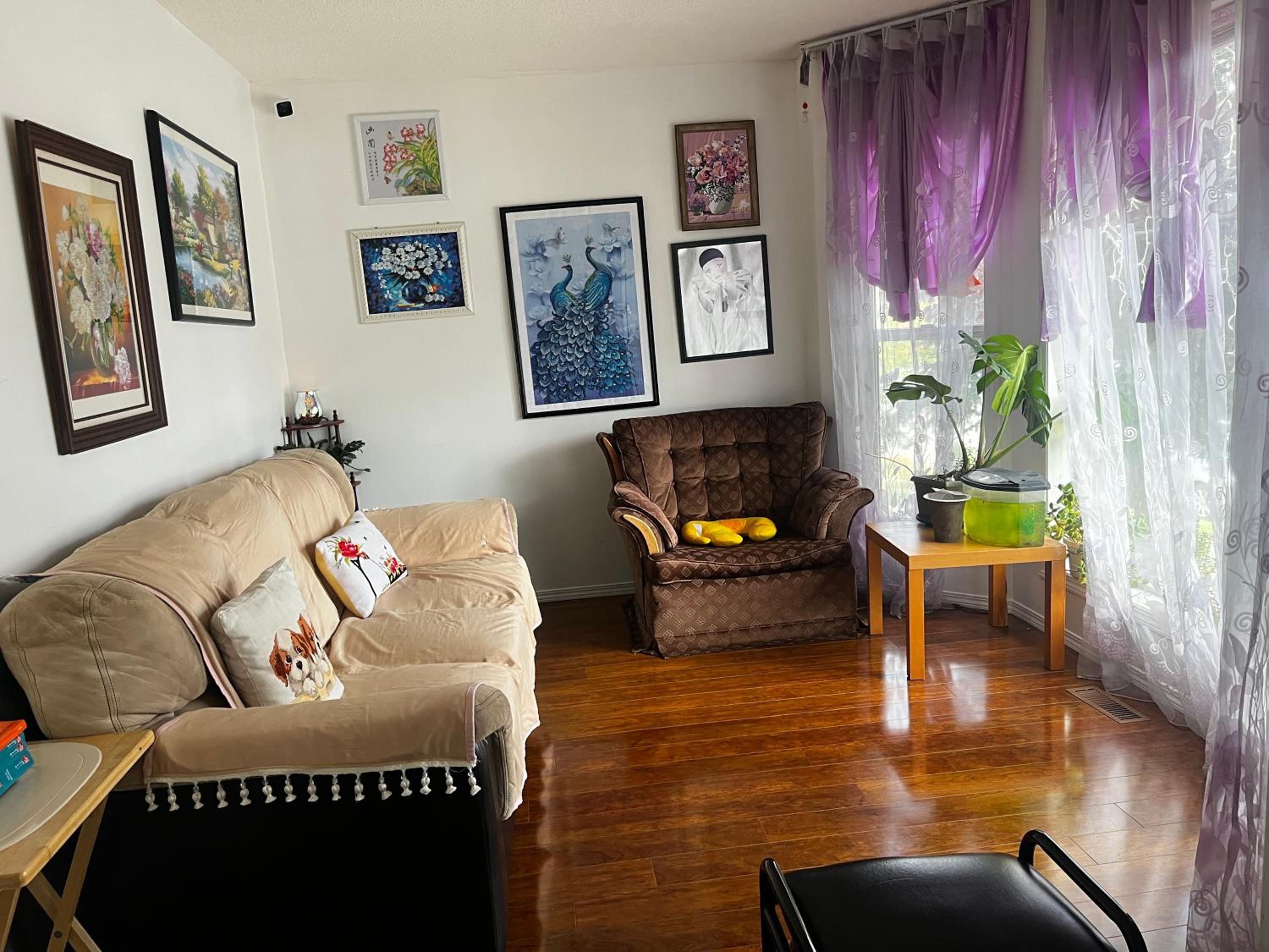 hidden valley new basement suite with private bathroom!