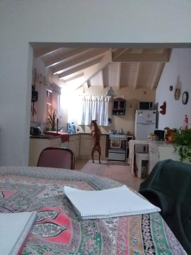 Chalet para 8 o 9 personas, pegado al Bosque Peralta Ramos y a 10 cuadras de las mejores playas del sur de Mar del Plata