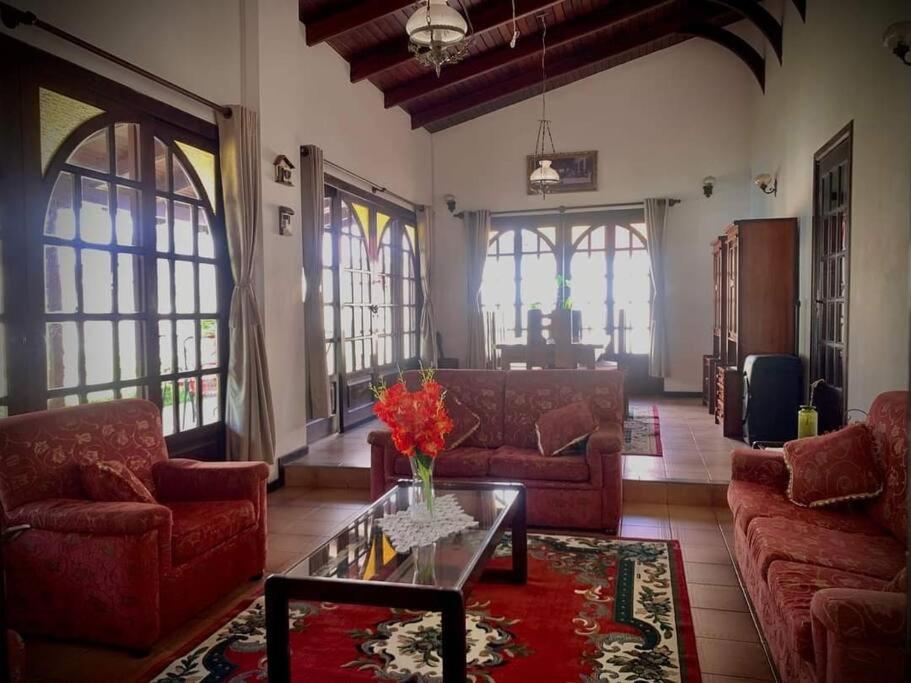 The House Of Don Lucho