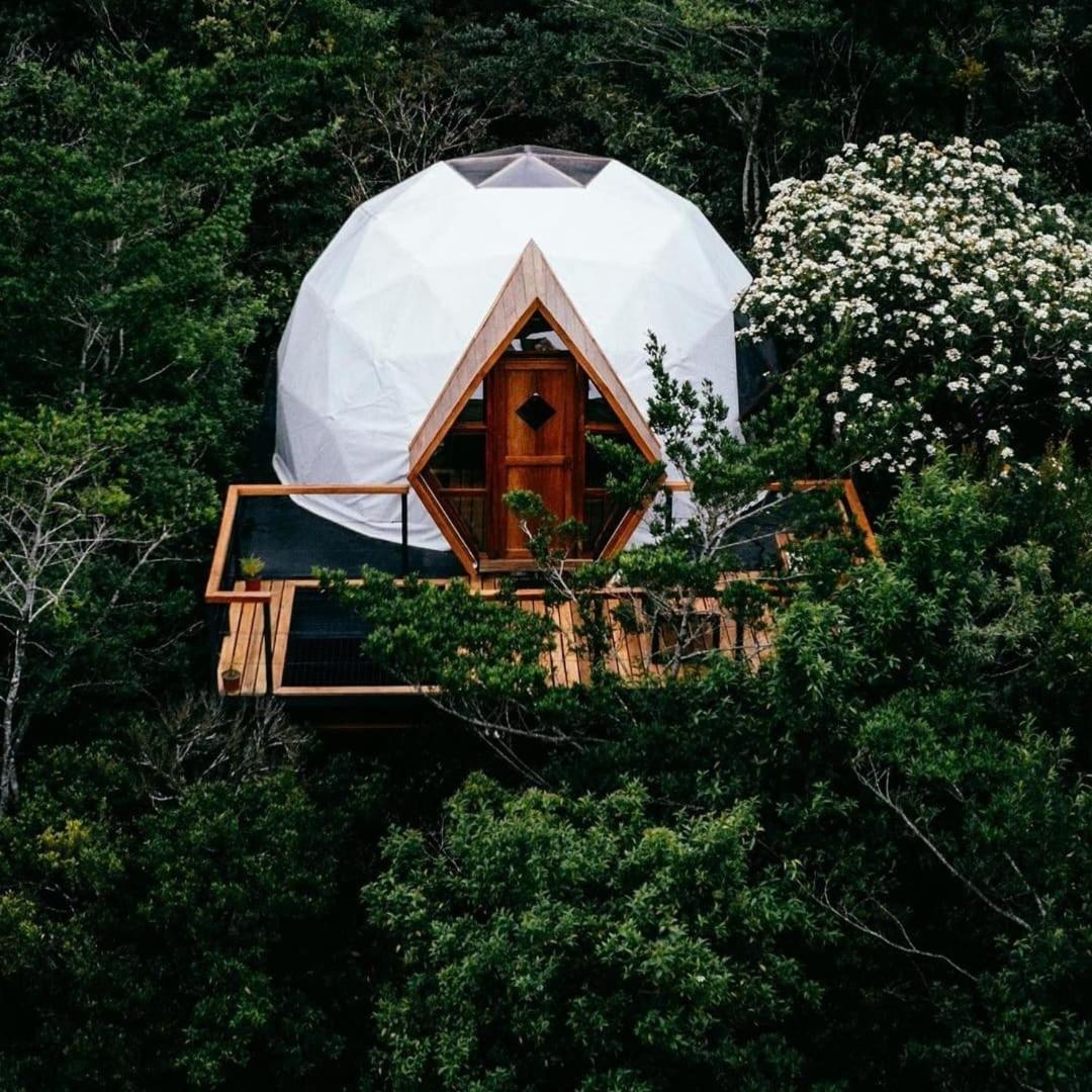 NATURAVE - Into the woods - Mountain cabins