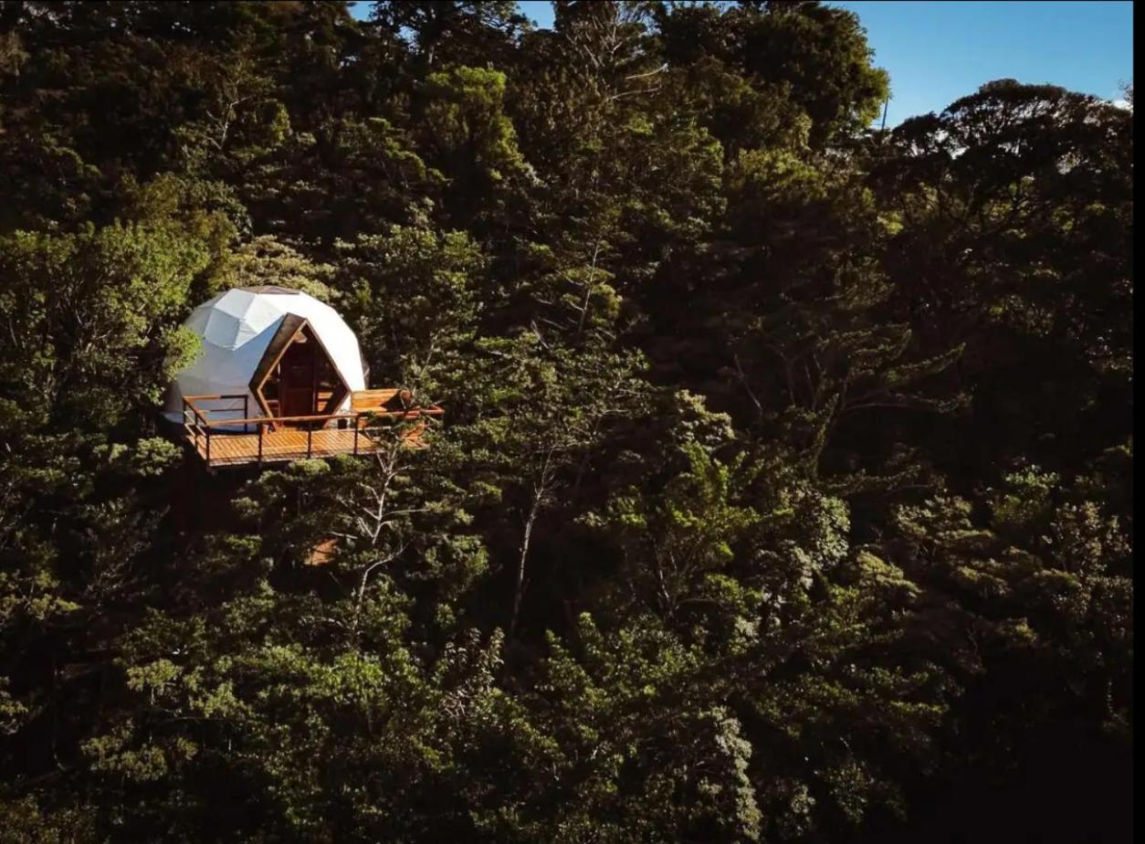 NATURAVE - Into the woods - Mountain cabins