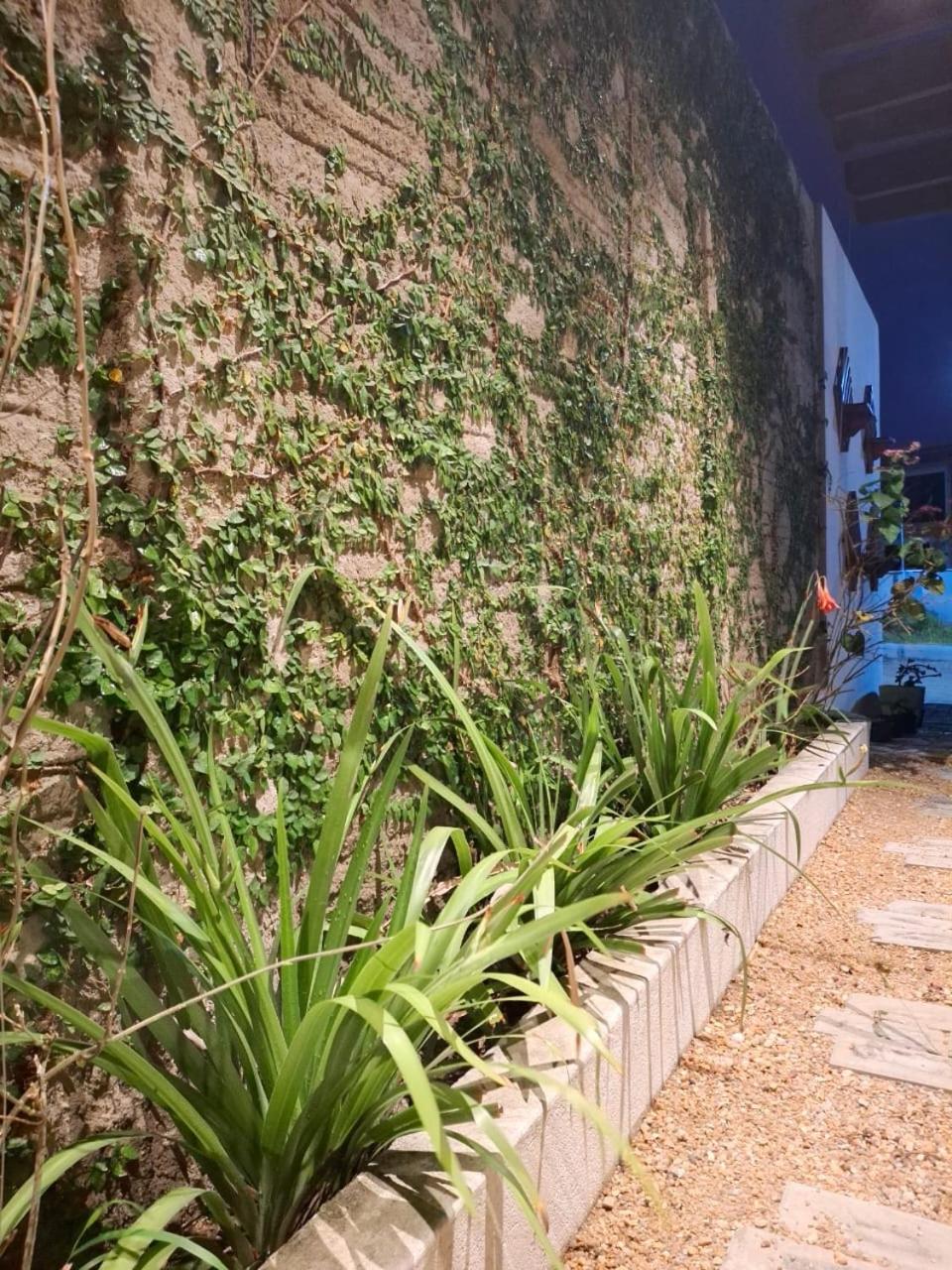 Varandas da Serra