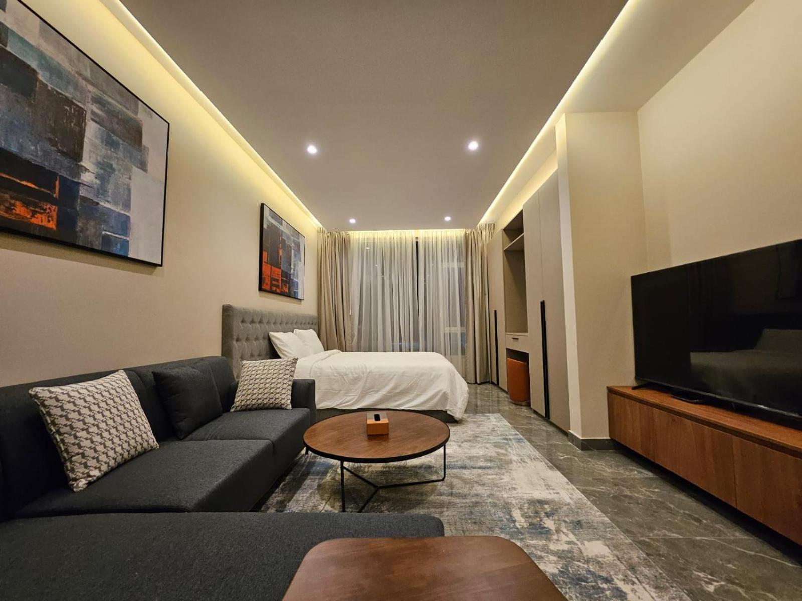 Luxurious modern apartment