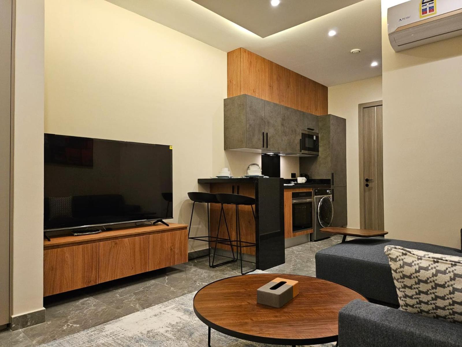 Luxurious modern apartment