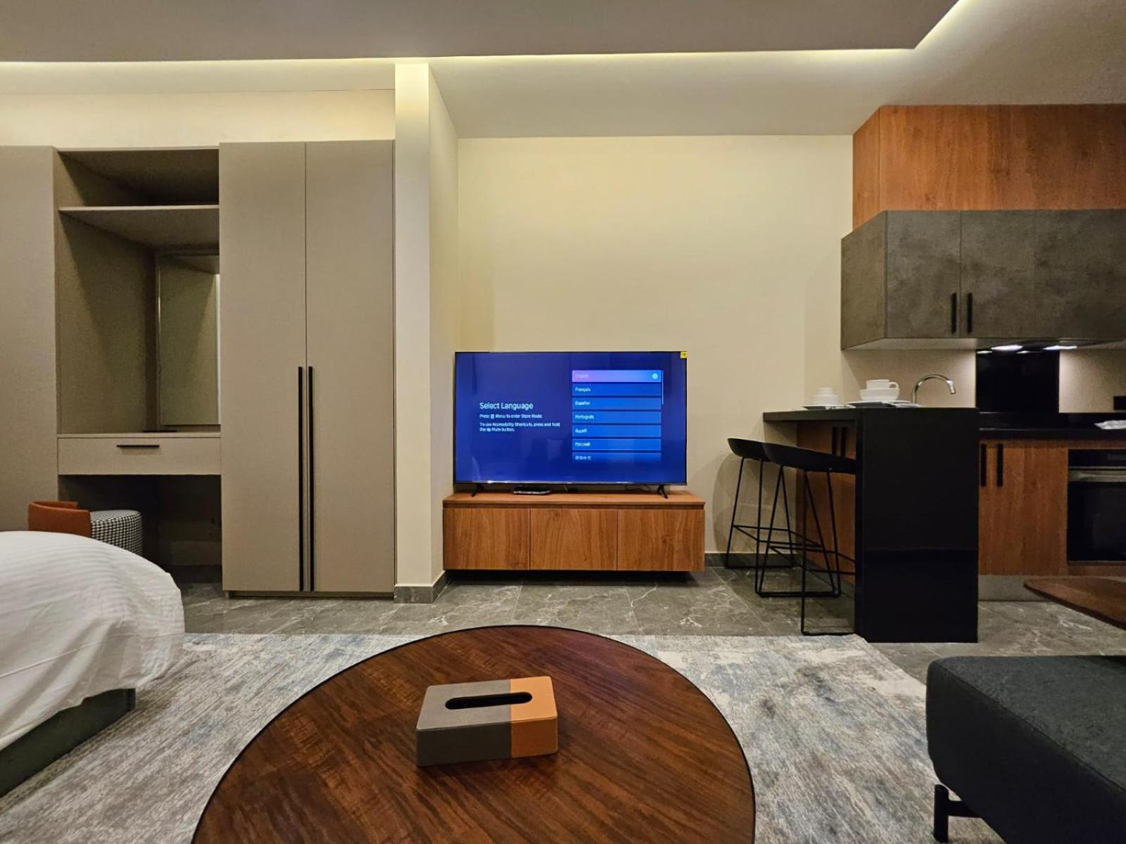 Luxurious modern apartment