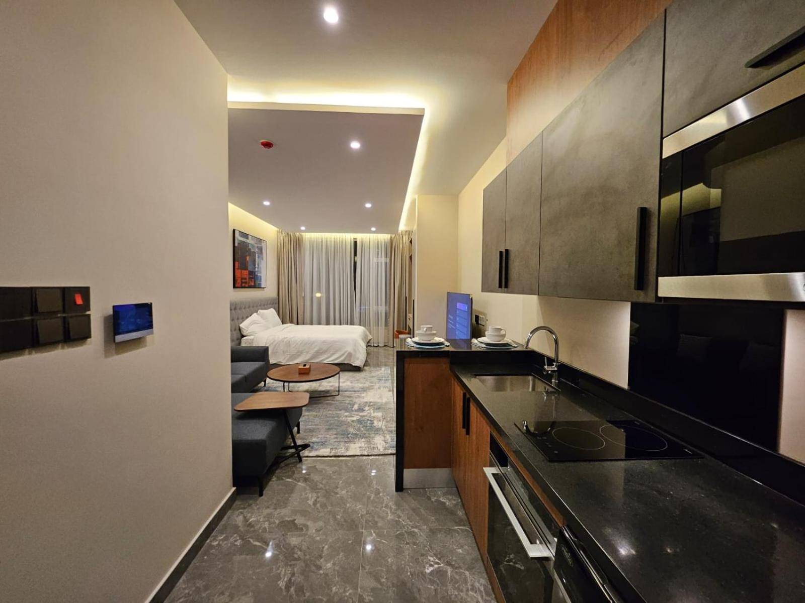 Luxurious modern apartment