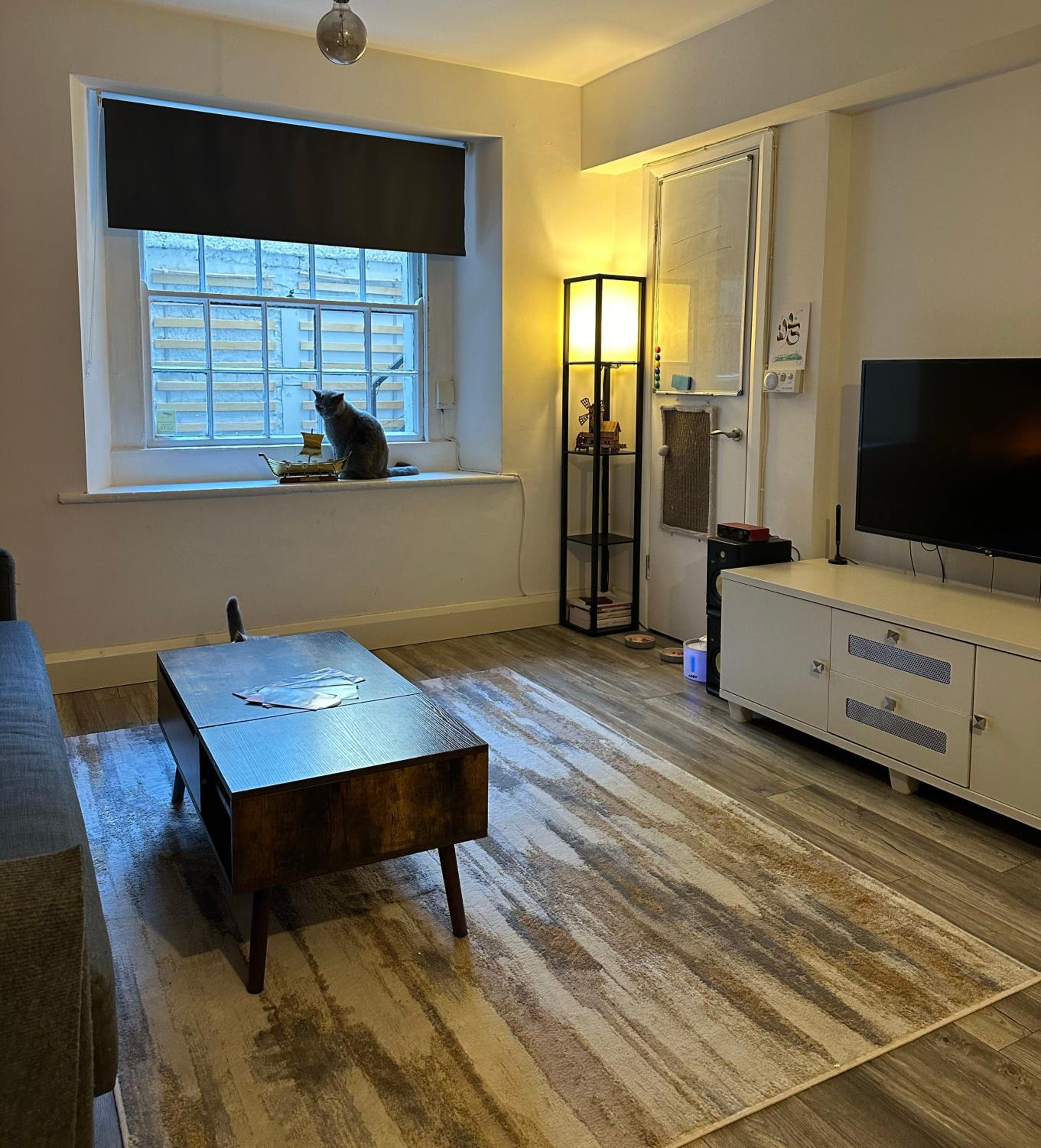 Entire Apartment in Dublin