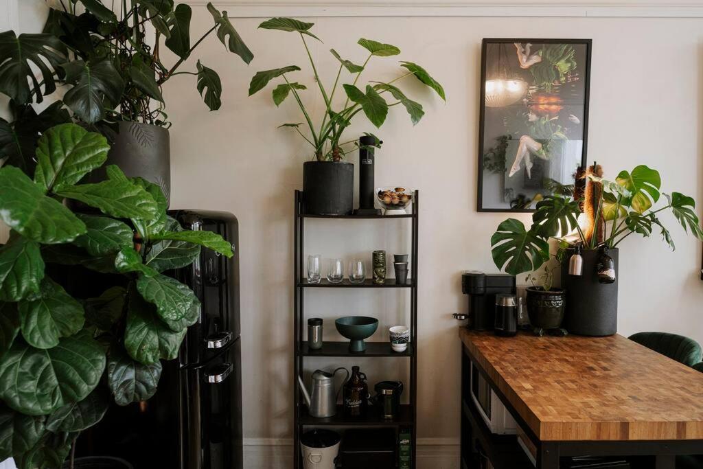 Studio in Iconic Heritage Building near Albert Park