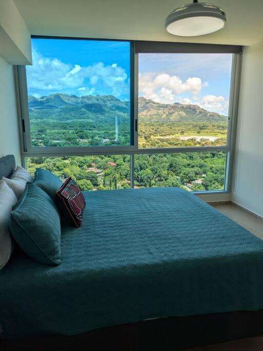 Beachfront Apt with optional cook and airport pickup view 3