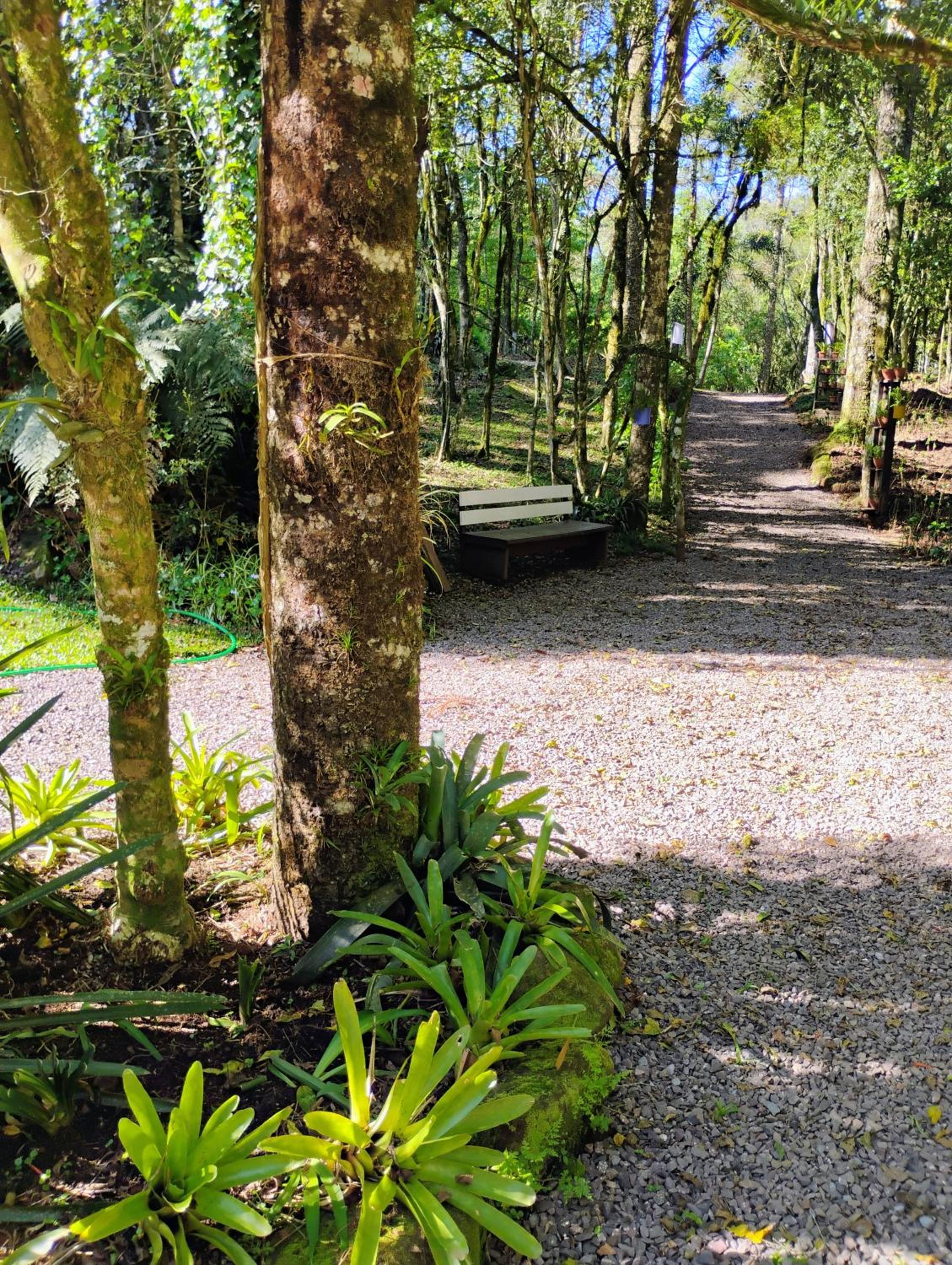 Quintal do Garnizé - Unidade João de Barro