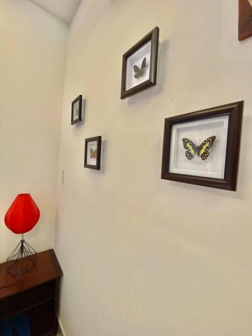Two bedroom Apartment 10 mins from HoiAn Old Quarter view 3