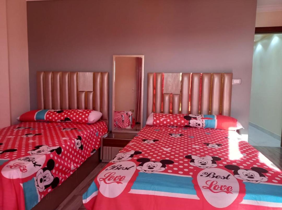 FREE Airport Pick-Up, Luxury Apartment at the centre of Cairo with all facilities