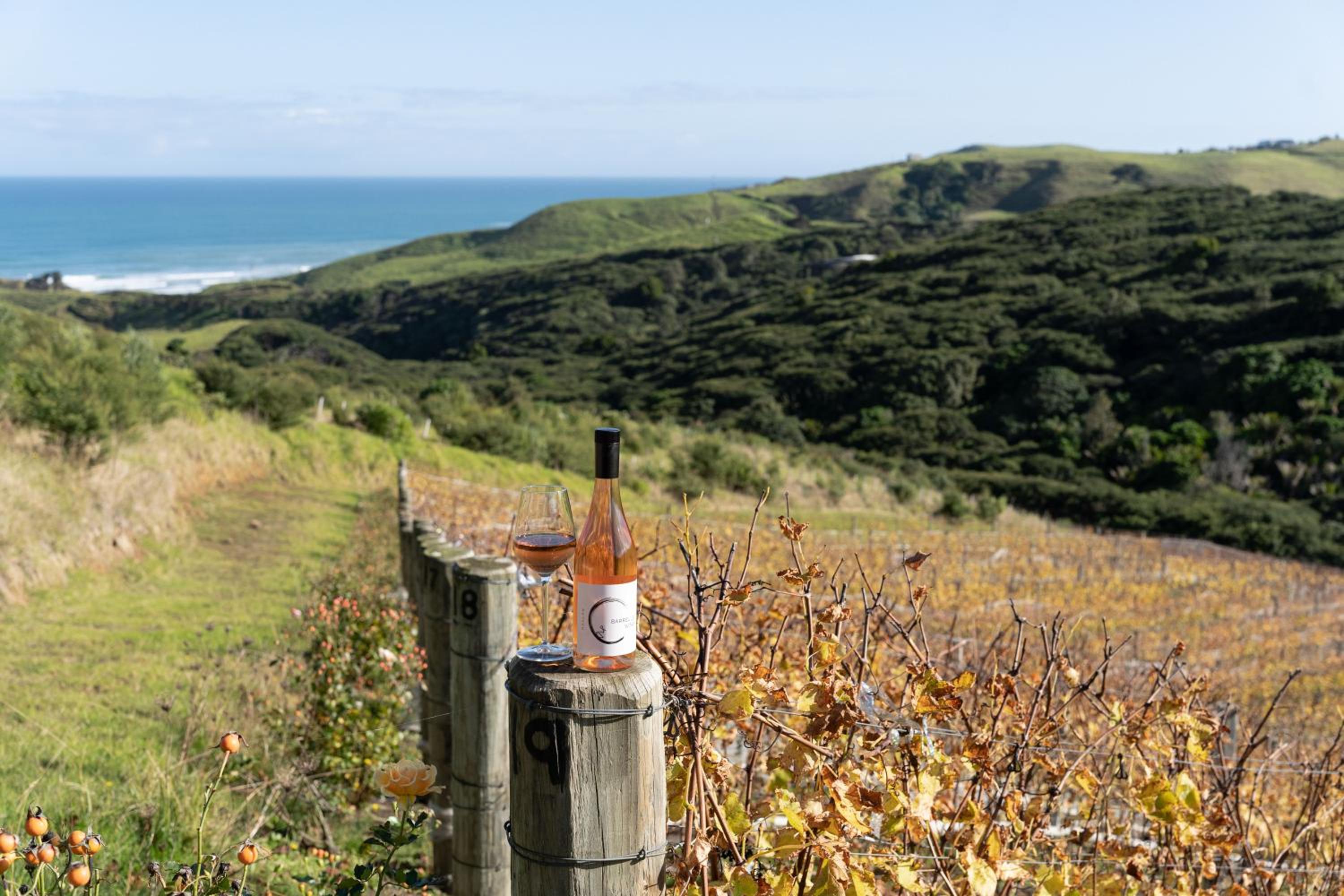Foudre Suite with Hot Tub at Barrelled Wines Raglan