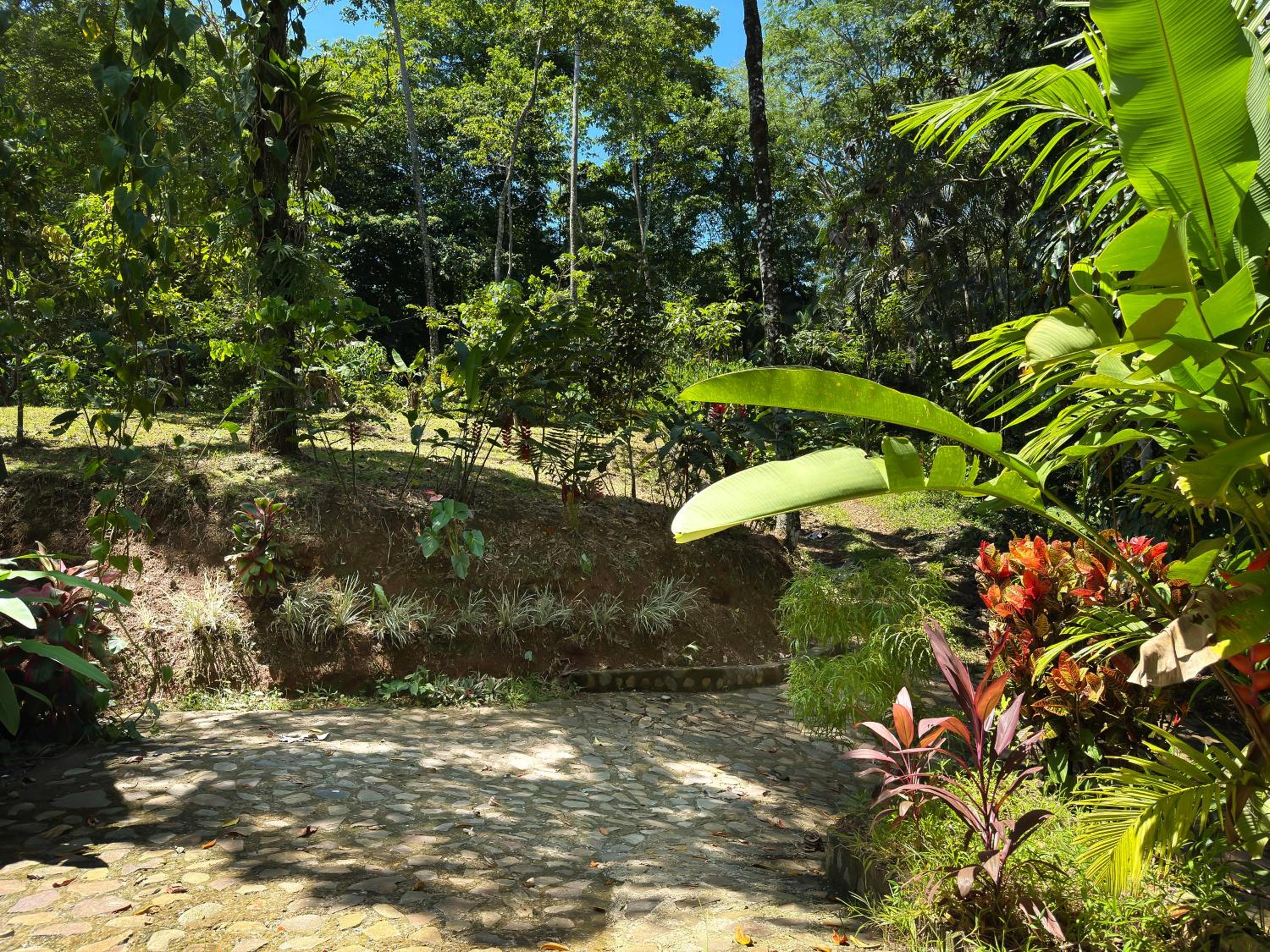 Oro Verde Lodge