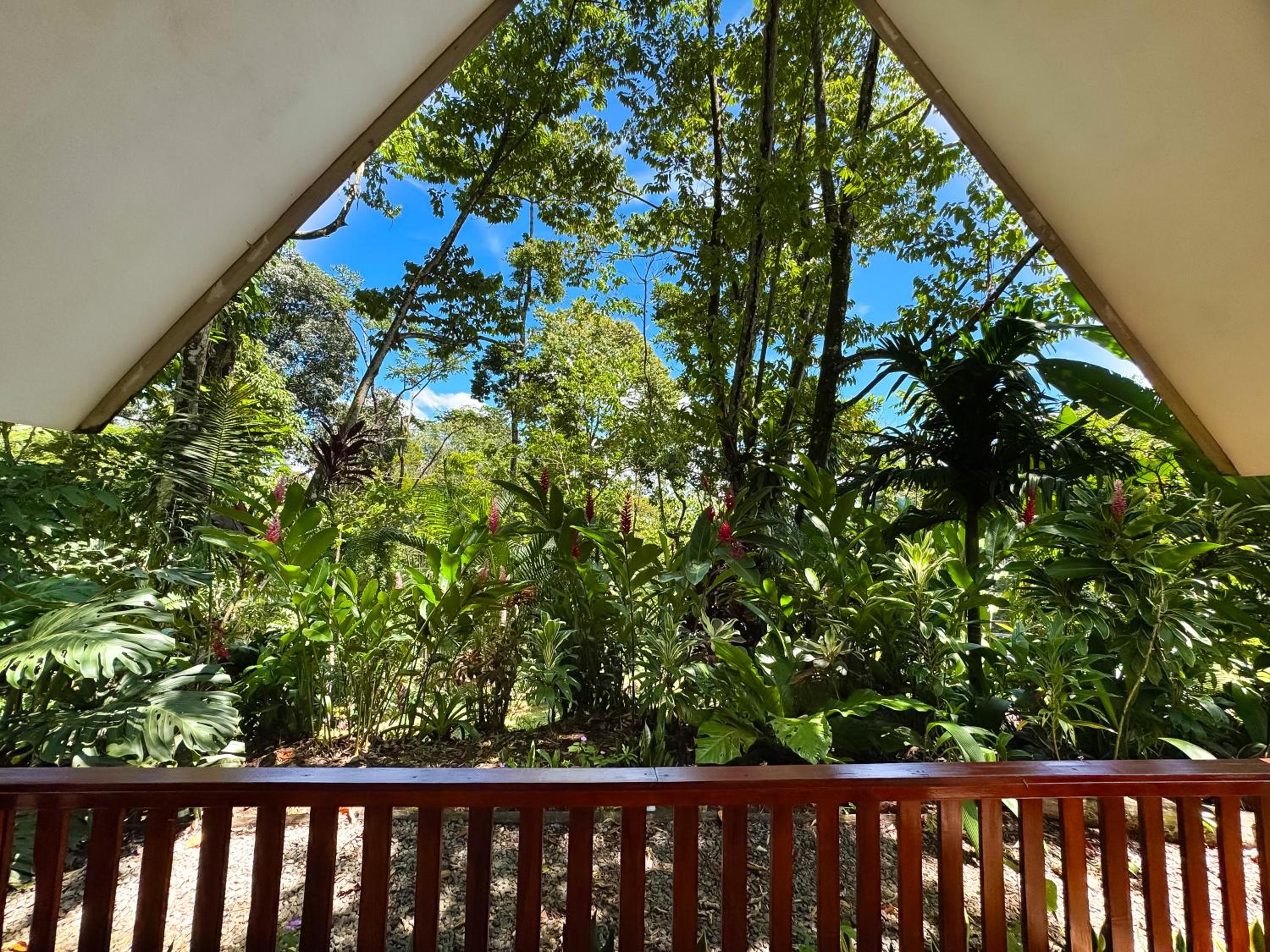 Oro Verde Lodge