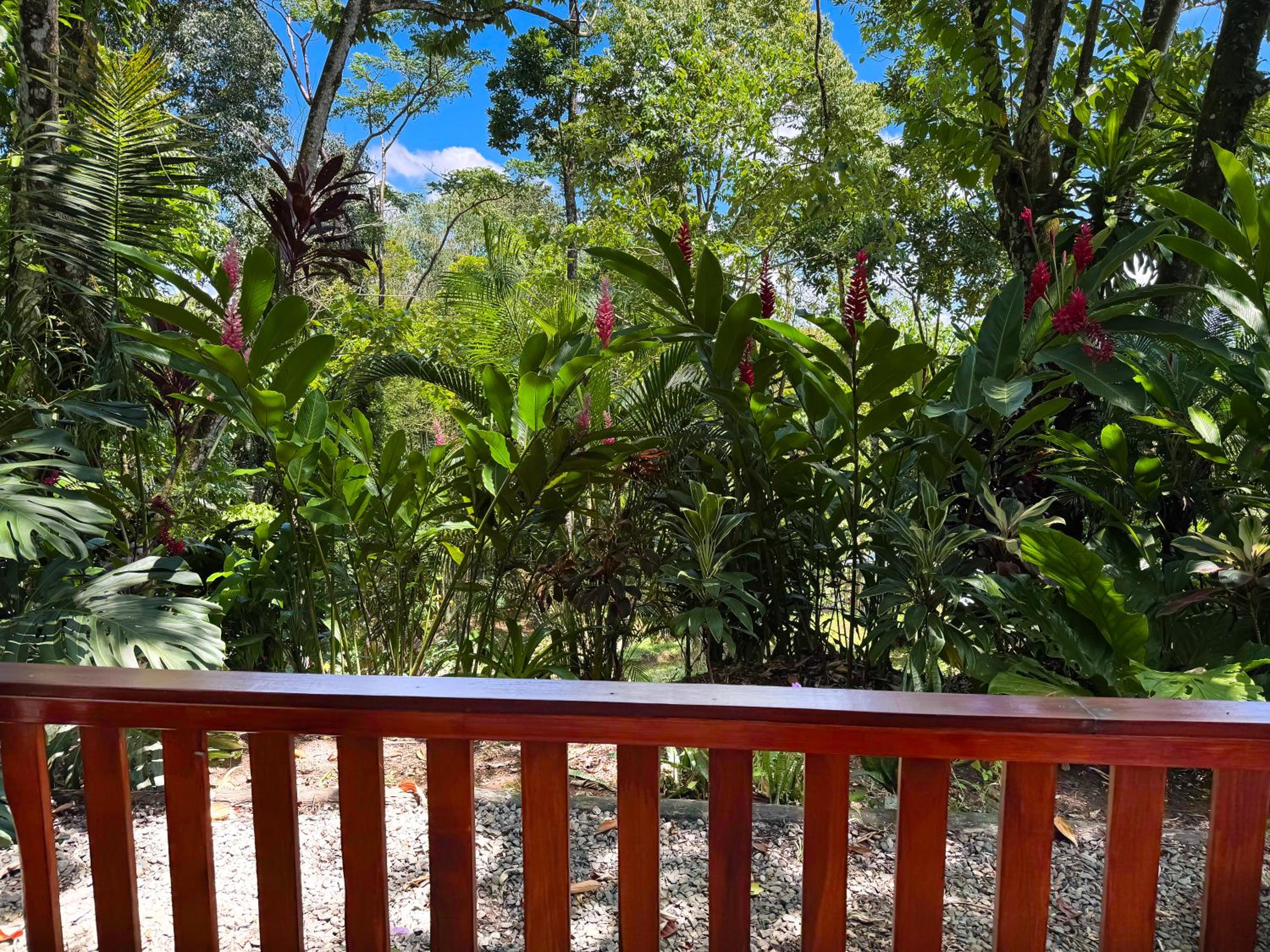 Oro Verde Lodge