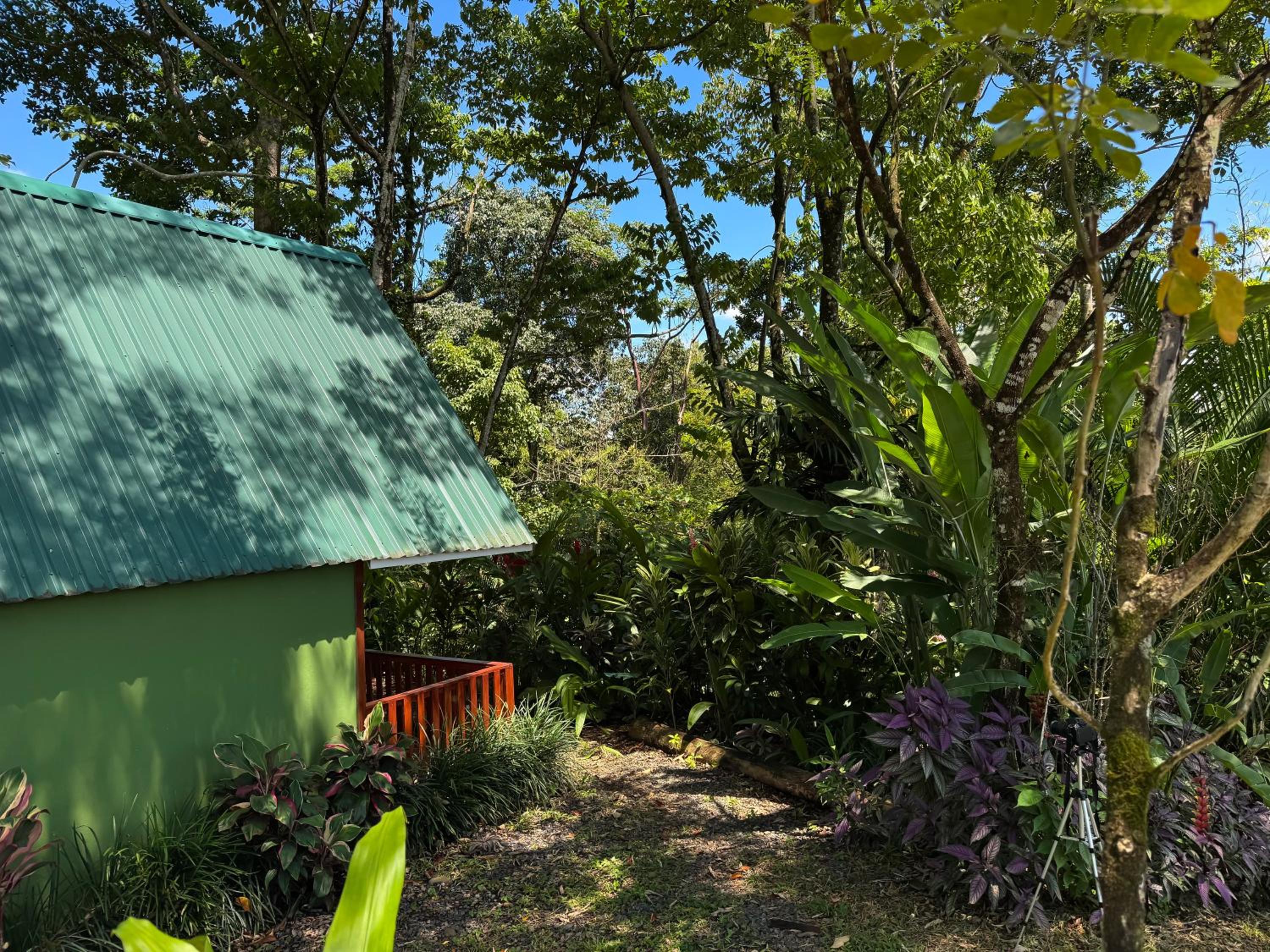 Oro Verde Lodge