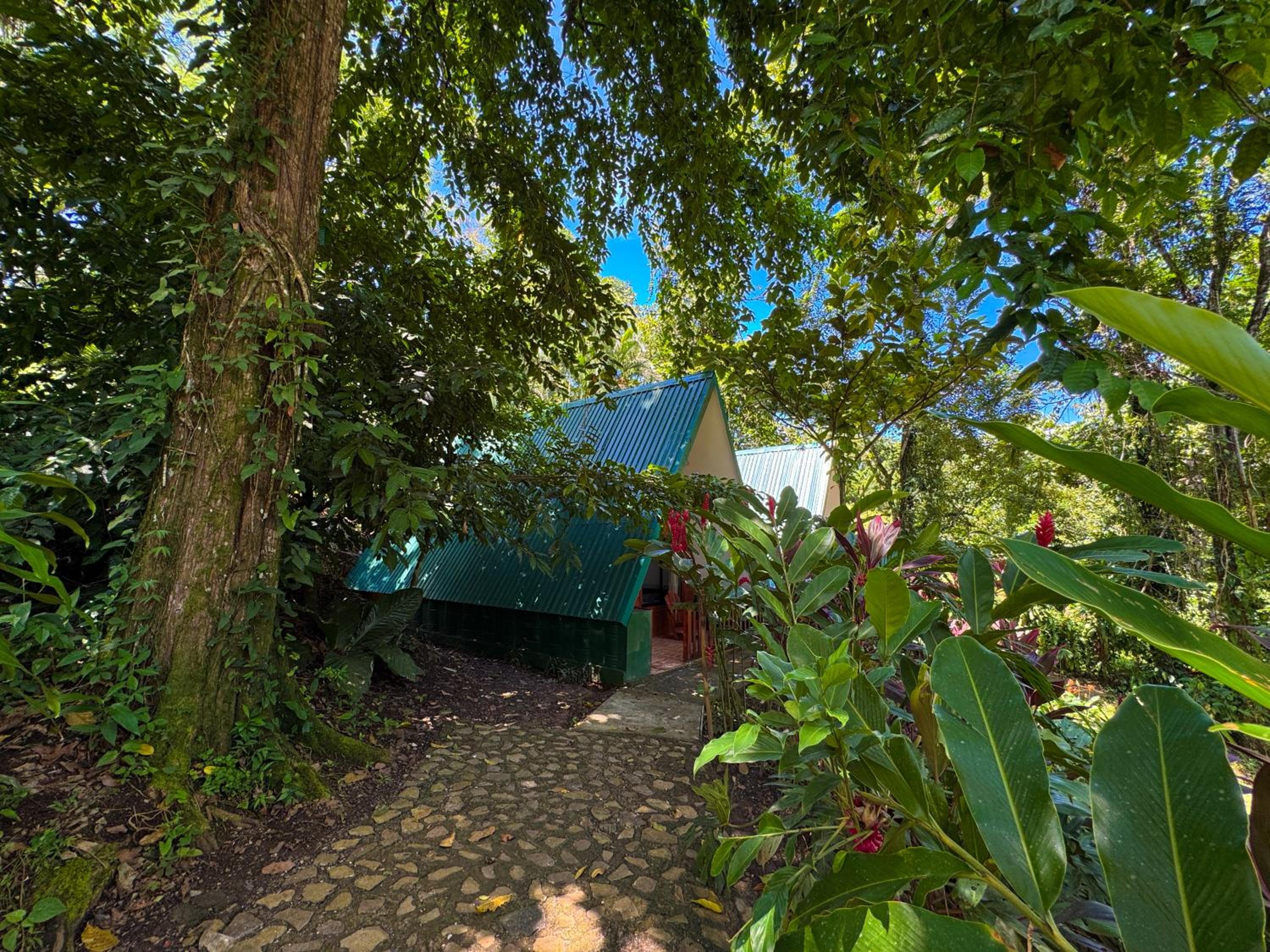 Oro Verde Lodge