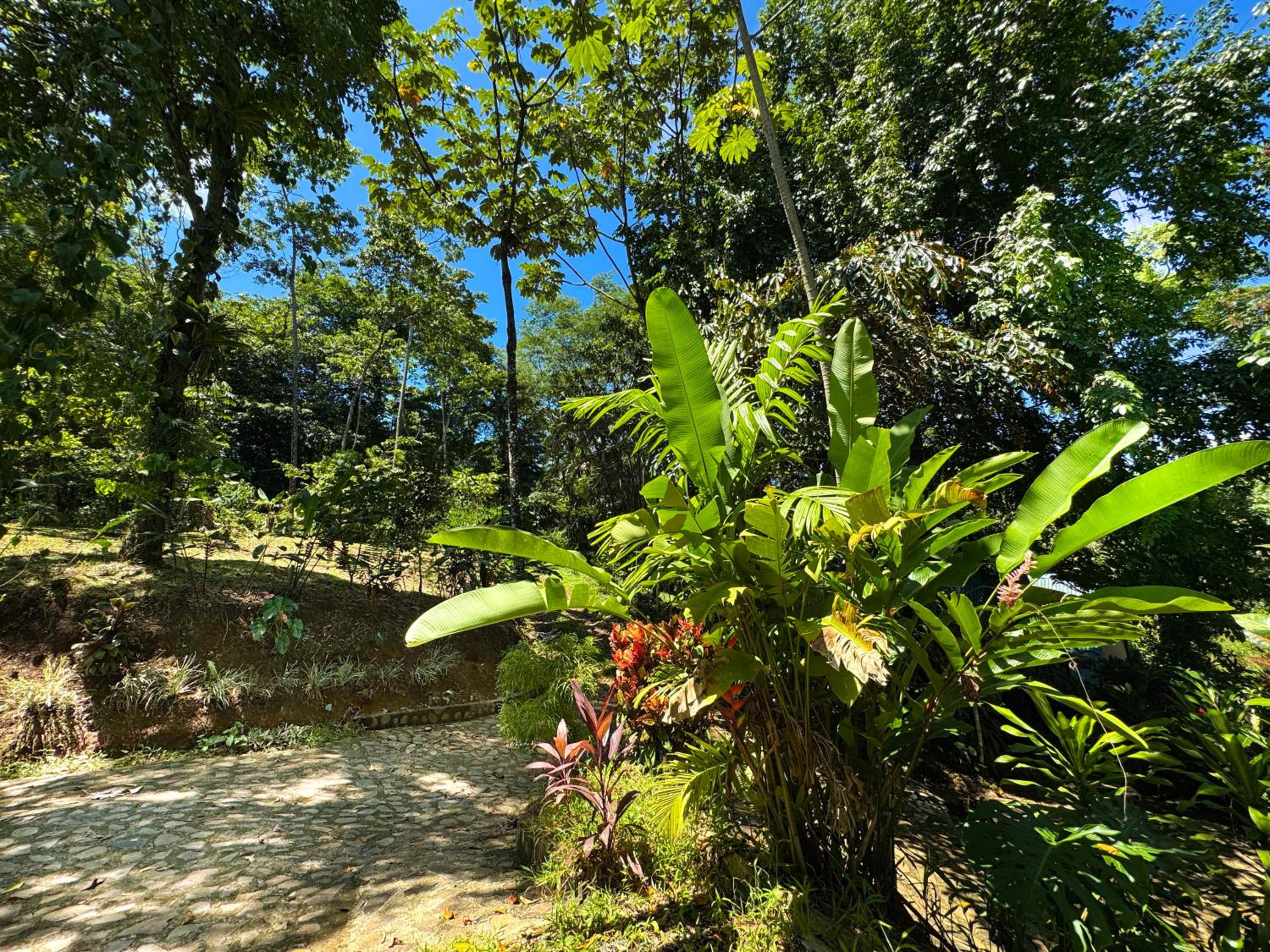Oro Verde Lodge