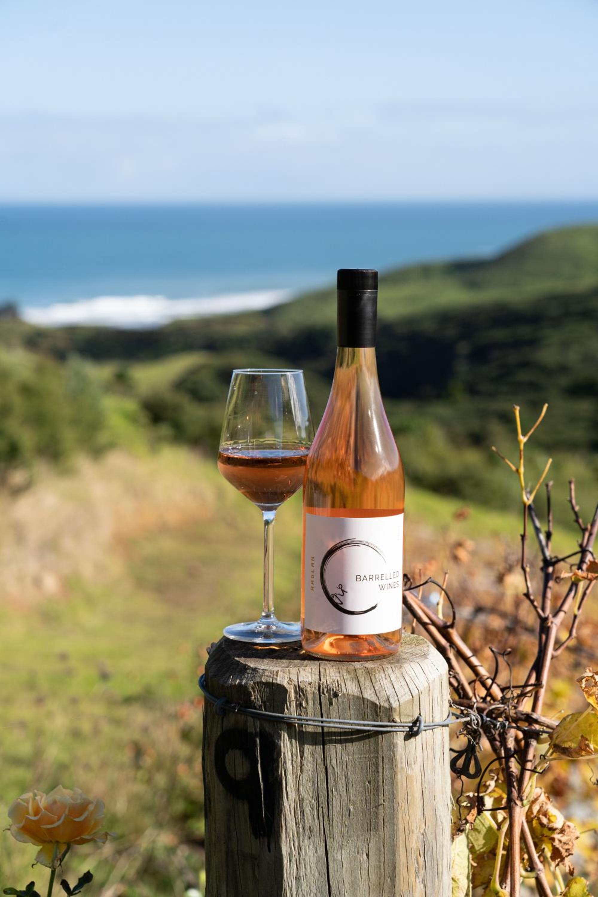 Barrique Studio with Sauna at Barrelled Wines Raglan view 4