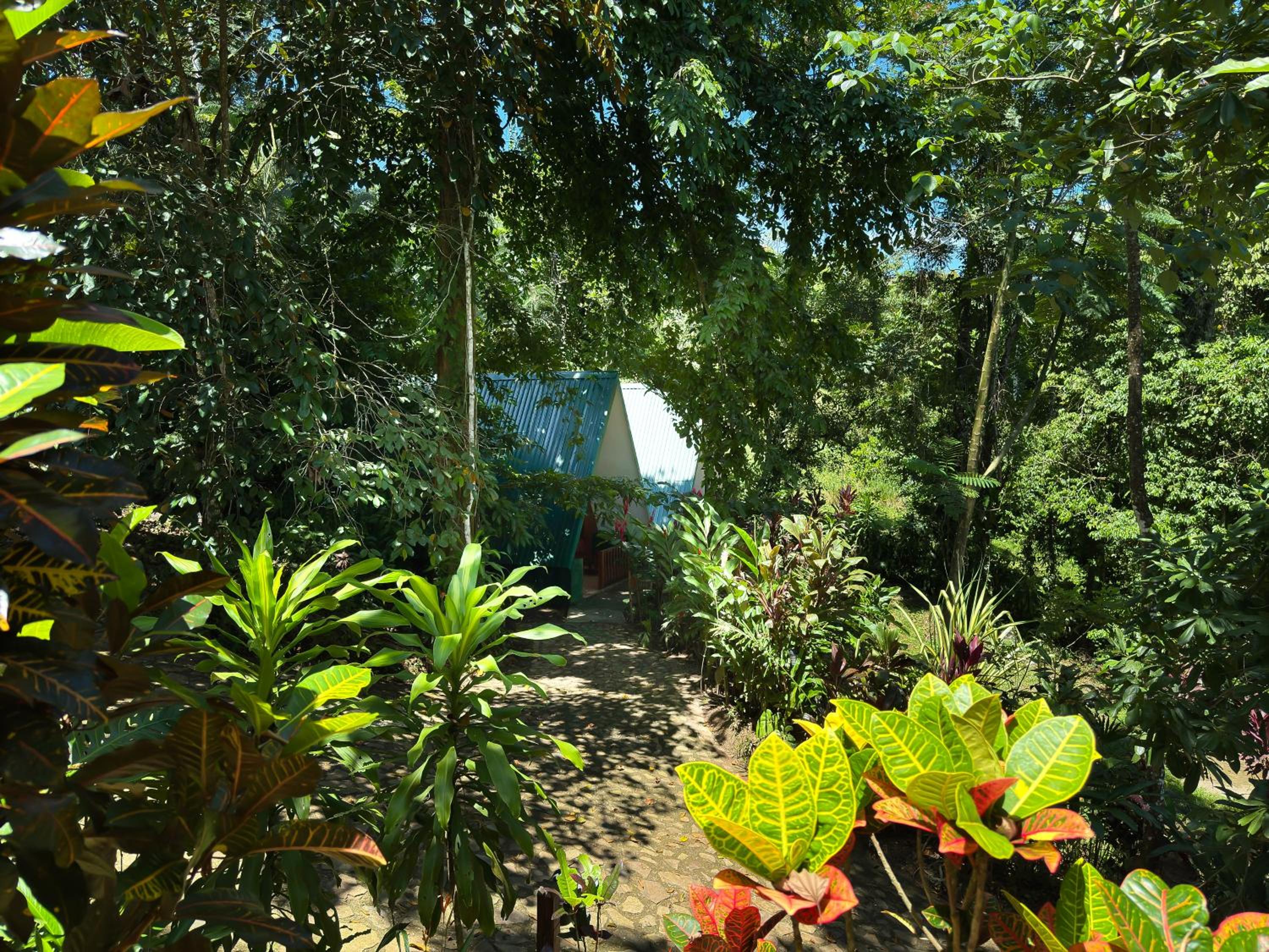 Oro Verde Lodge