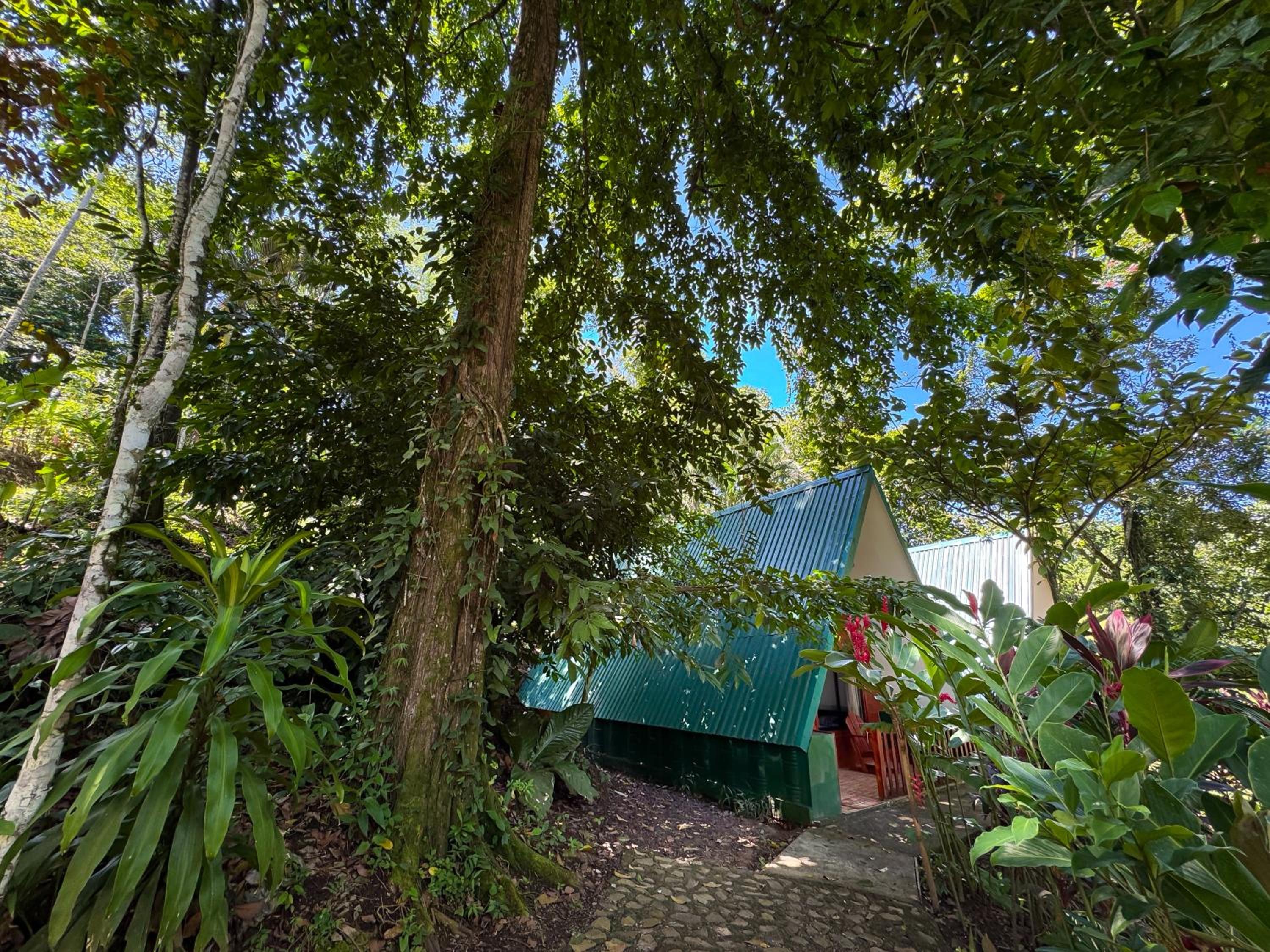 Oro Verde Lodge