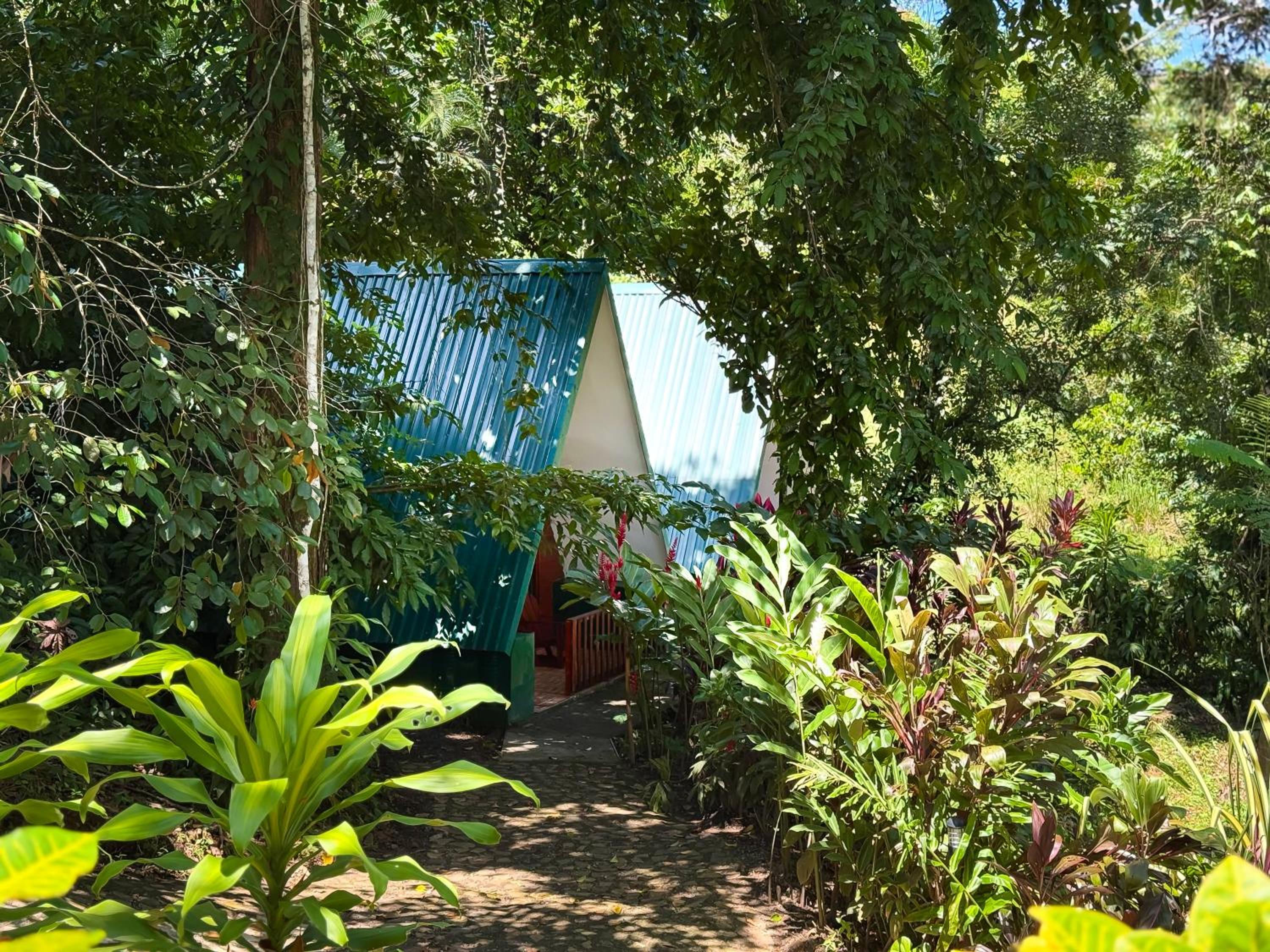 Oro Verde Lodge