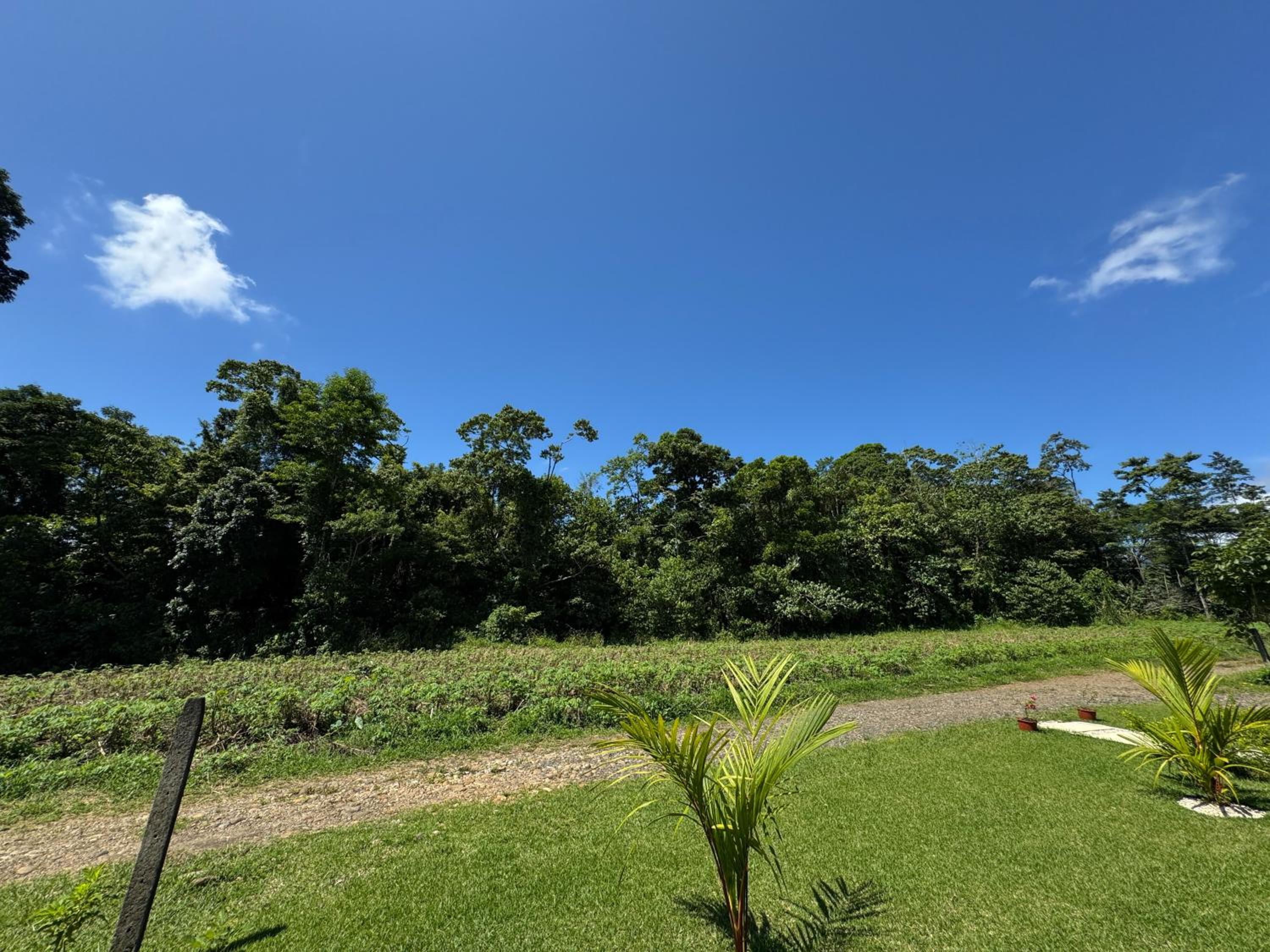 Oro Verde Lodge