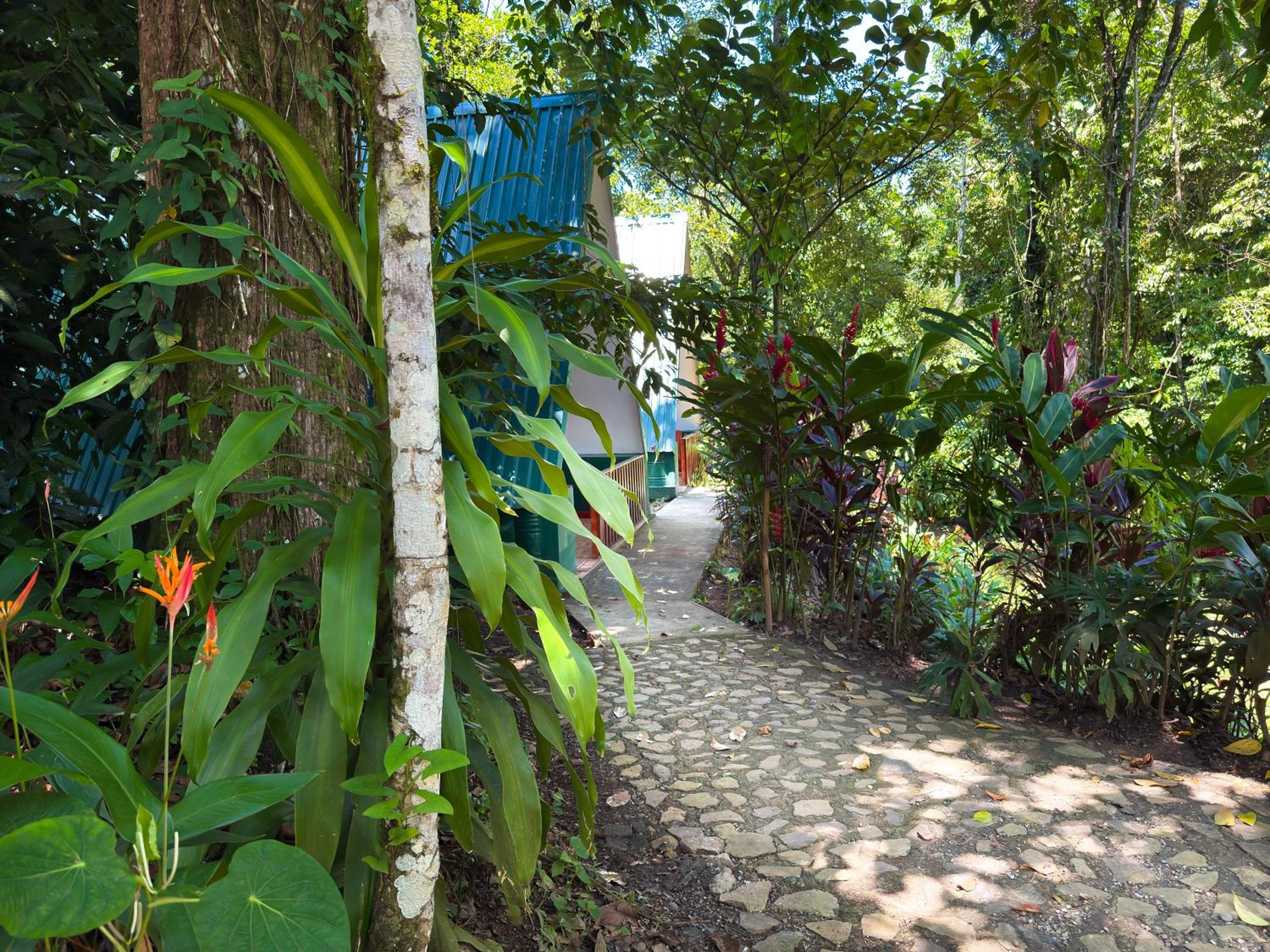 Oro Verde Lodge