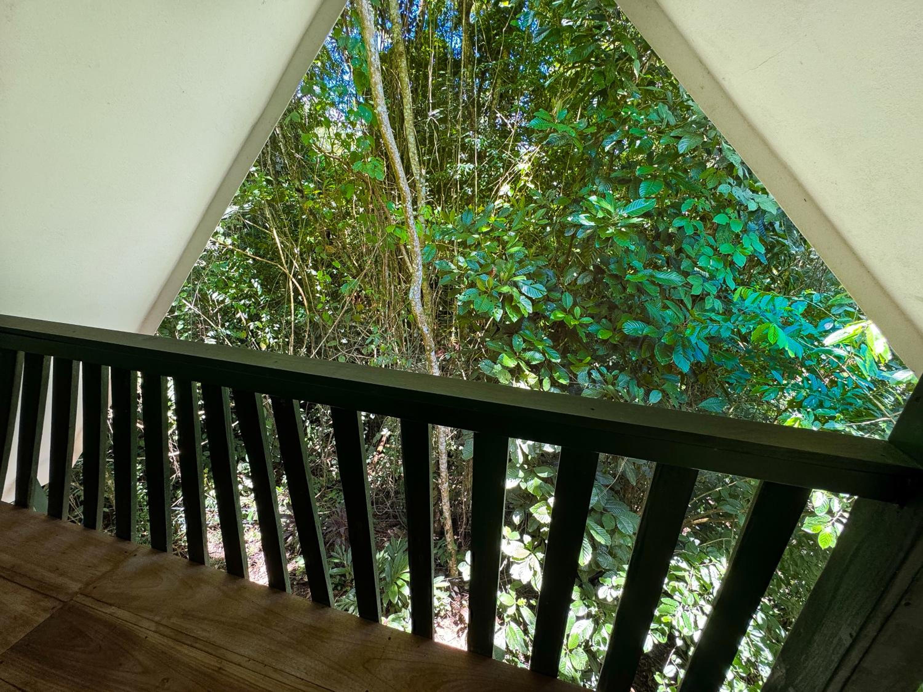 Oro Verde Lodge