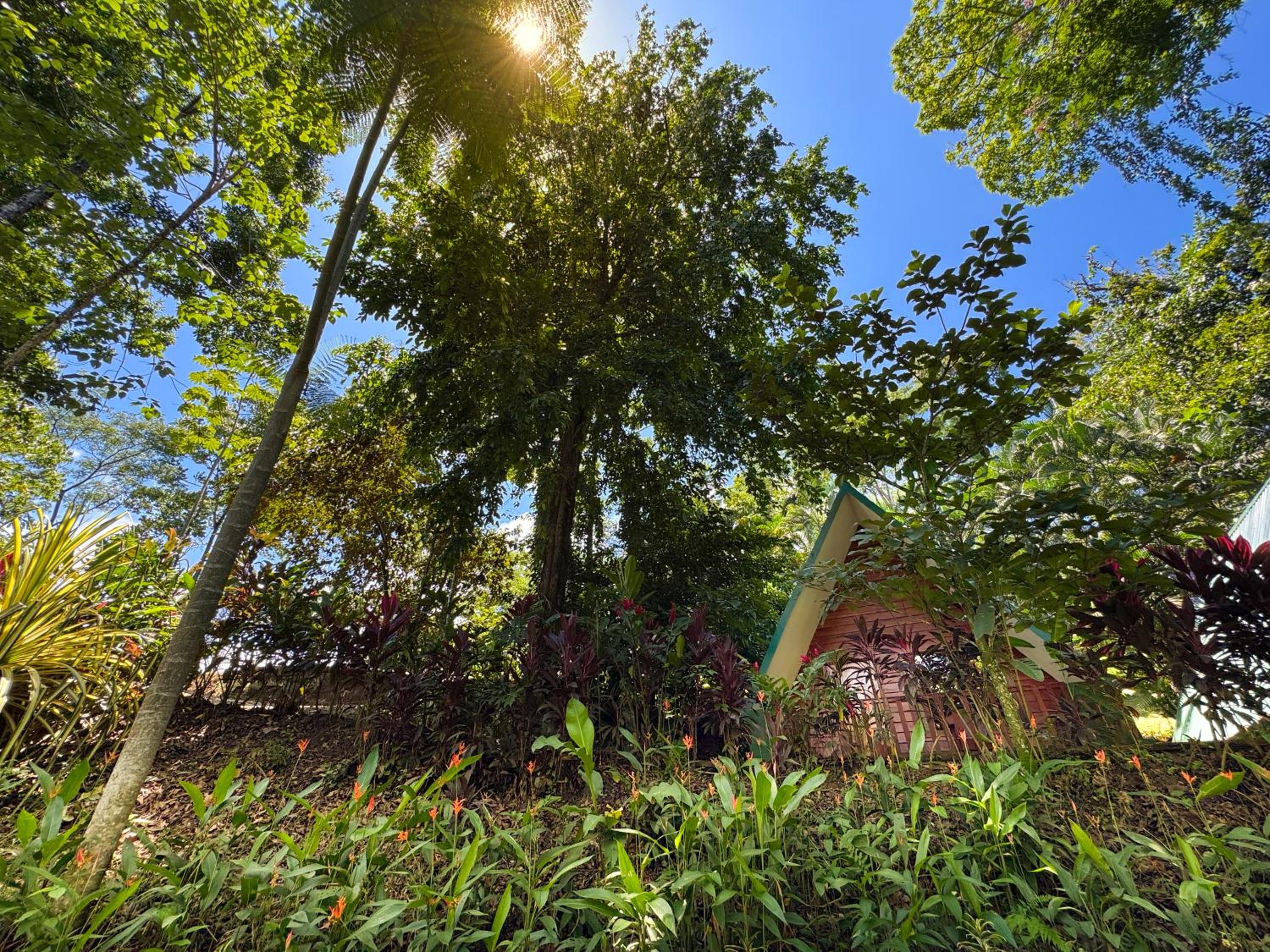 Oro Verde Lodge