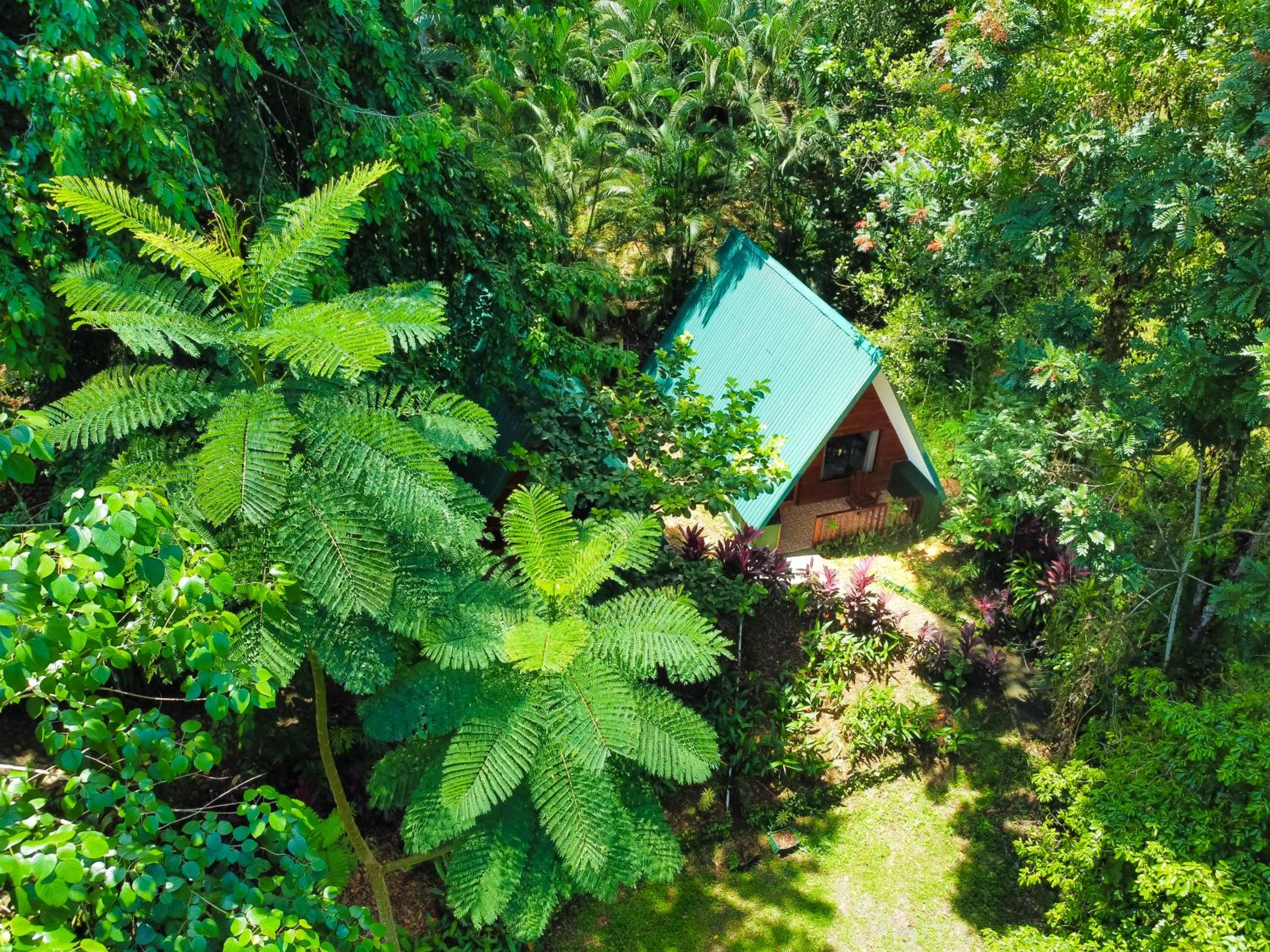 Oro Verde Lodge