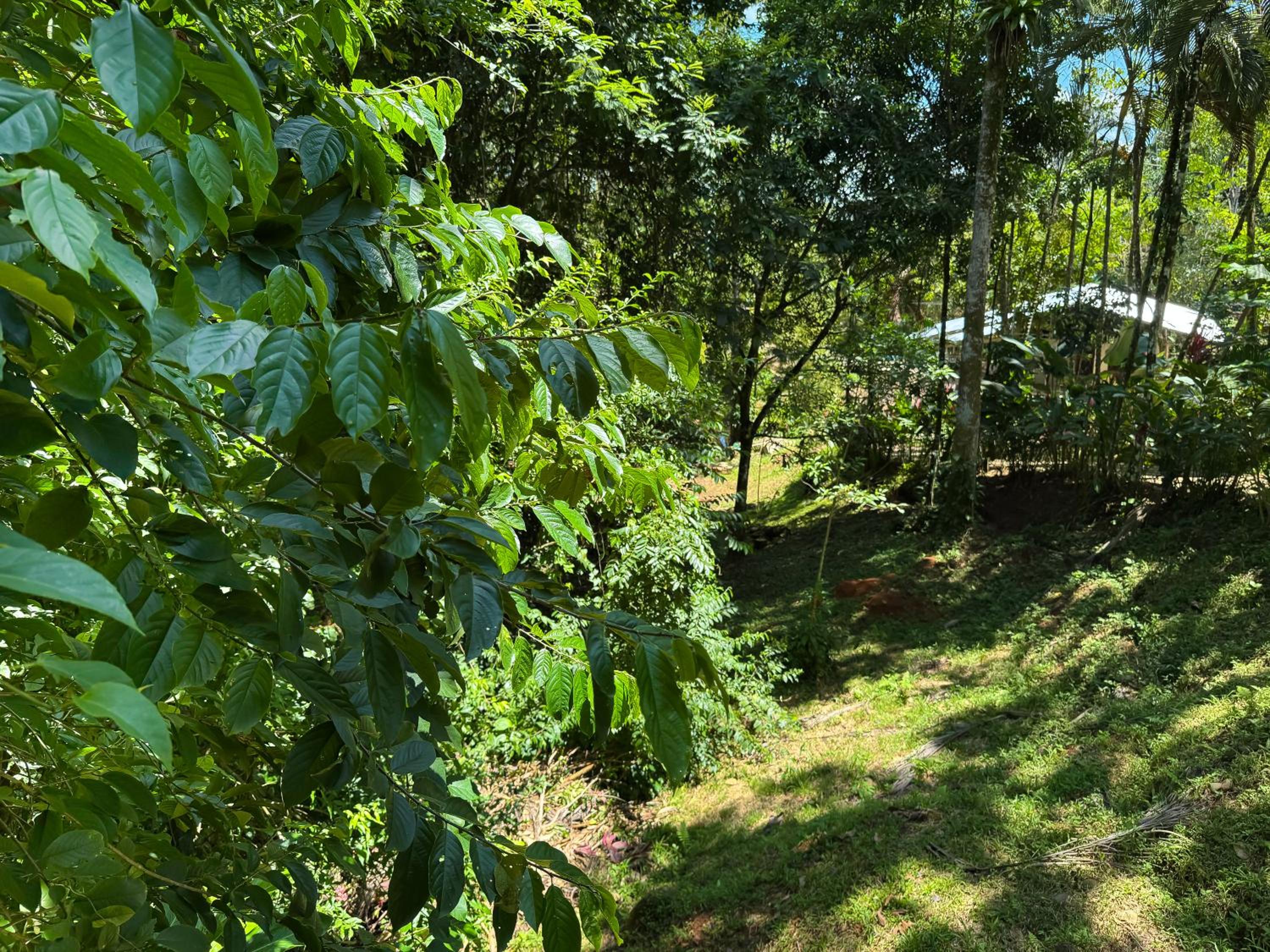 Oro Verde Lodge