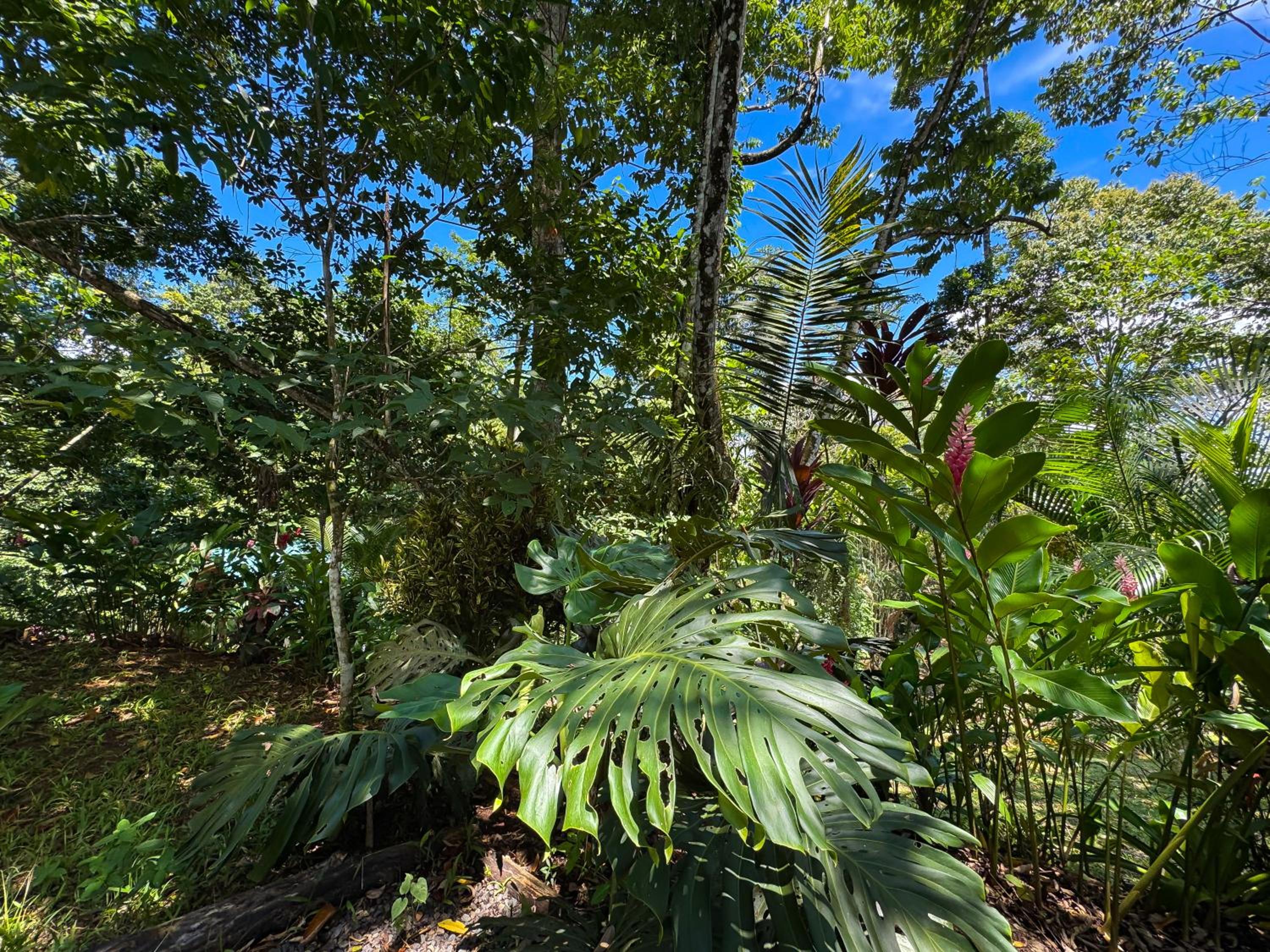 Oro Verde Lodge