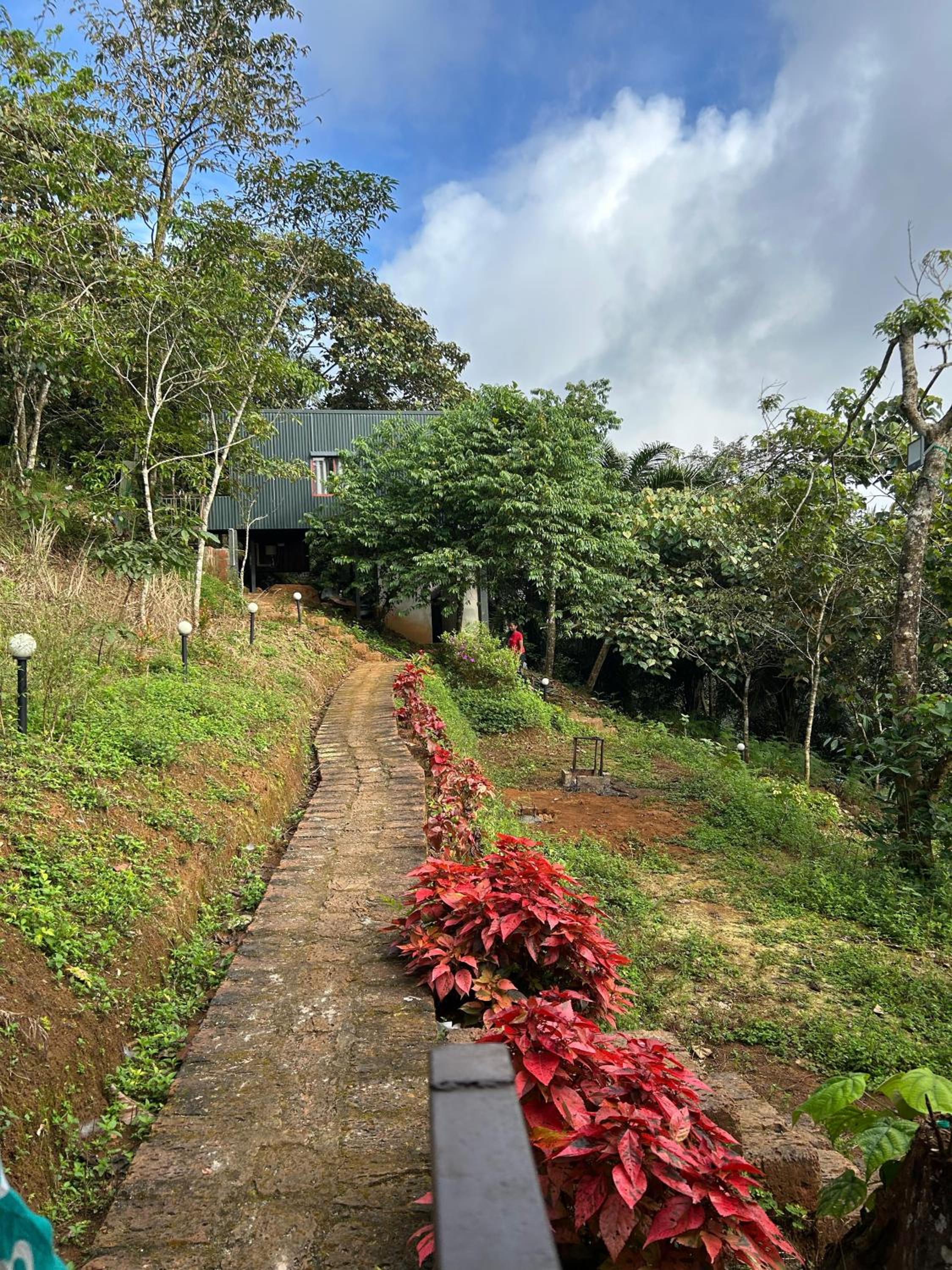 Woodshade Resort