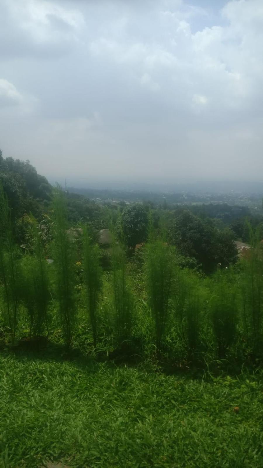 Kebun Teduh Sukaharja Cijeruk Bogor view 4